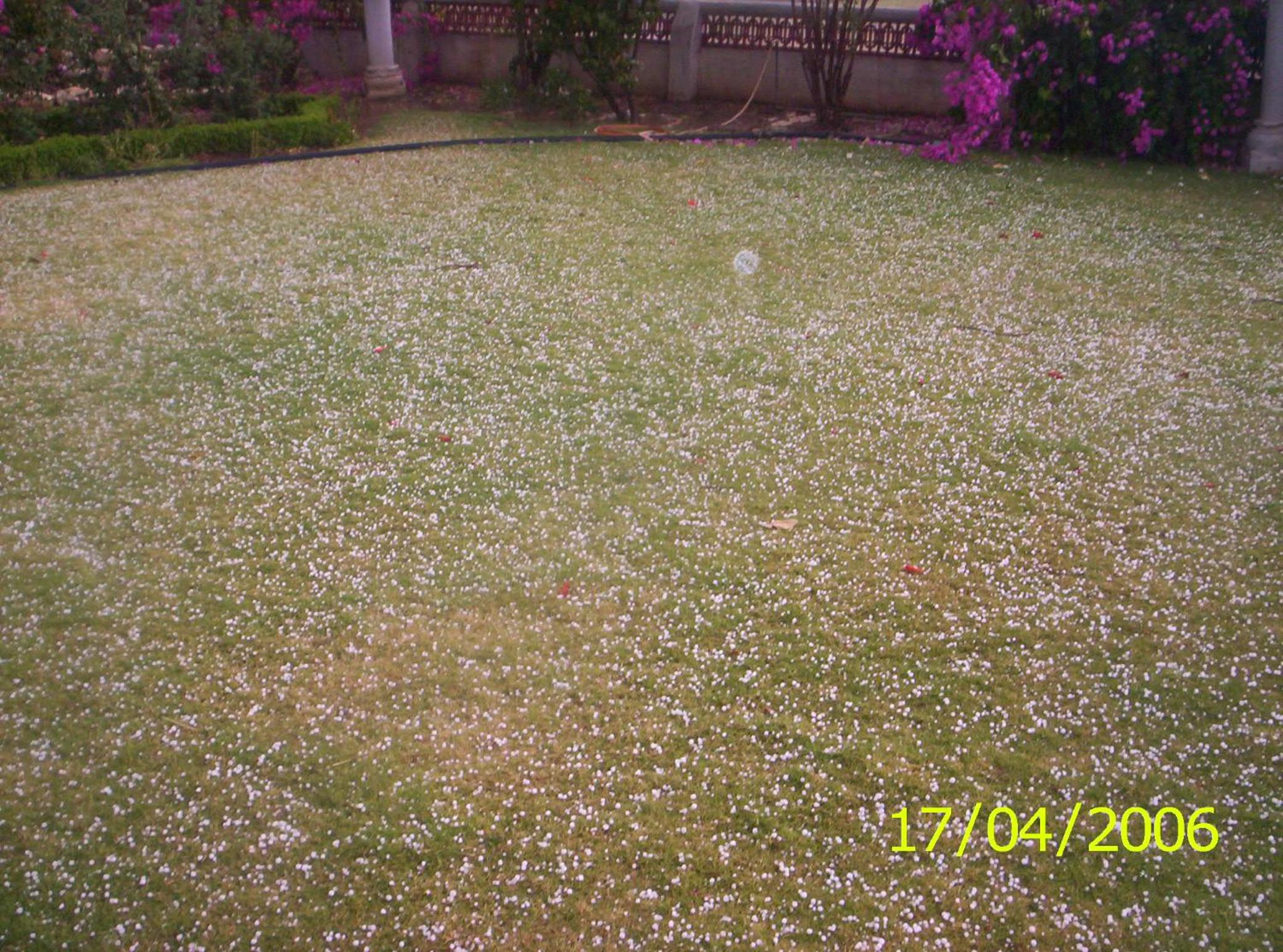 Photo 58