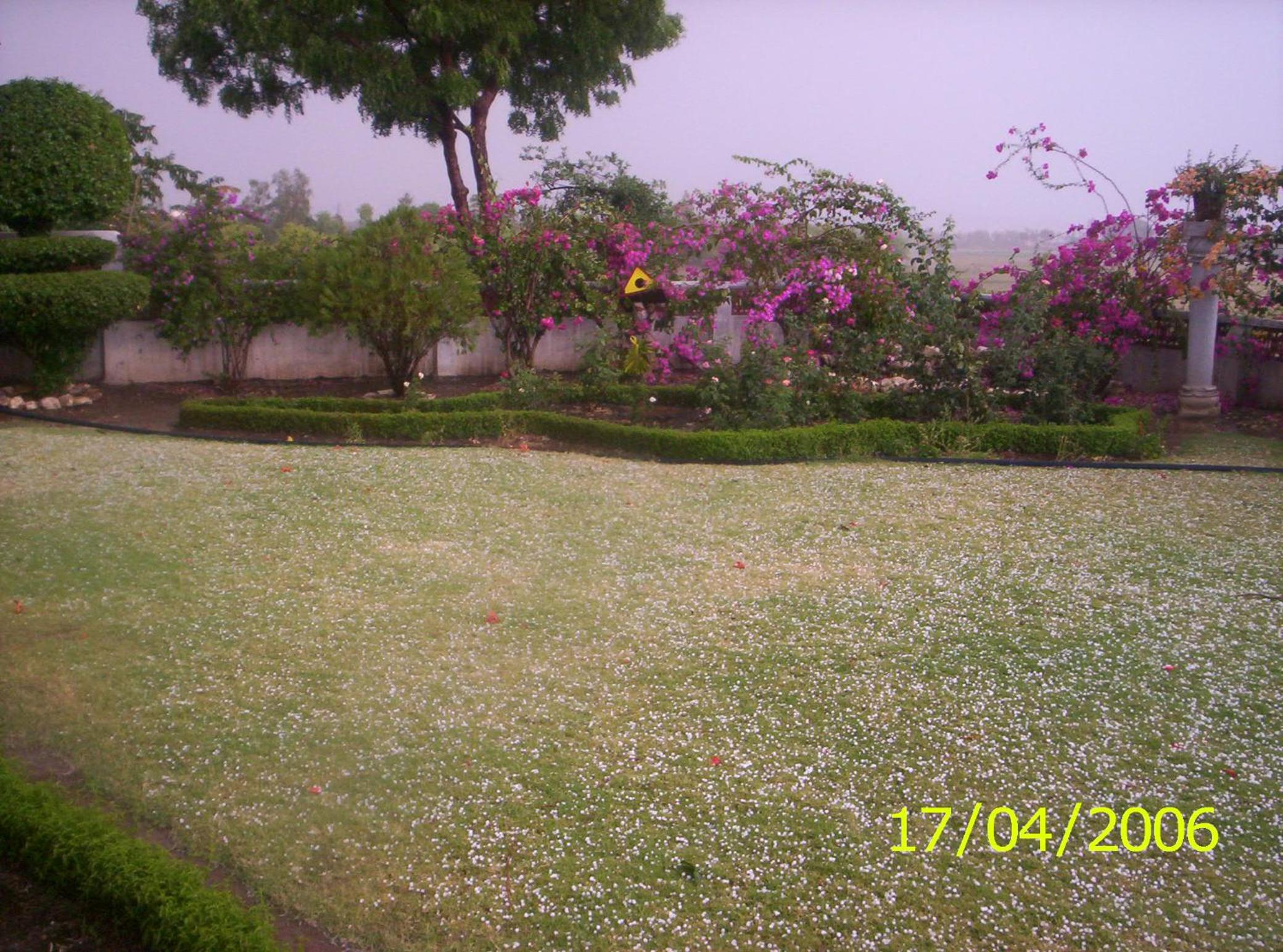 Photo 59