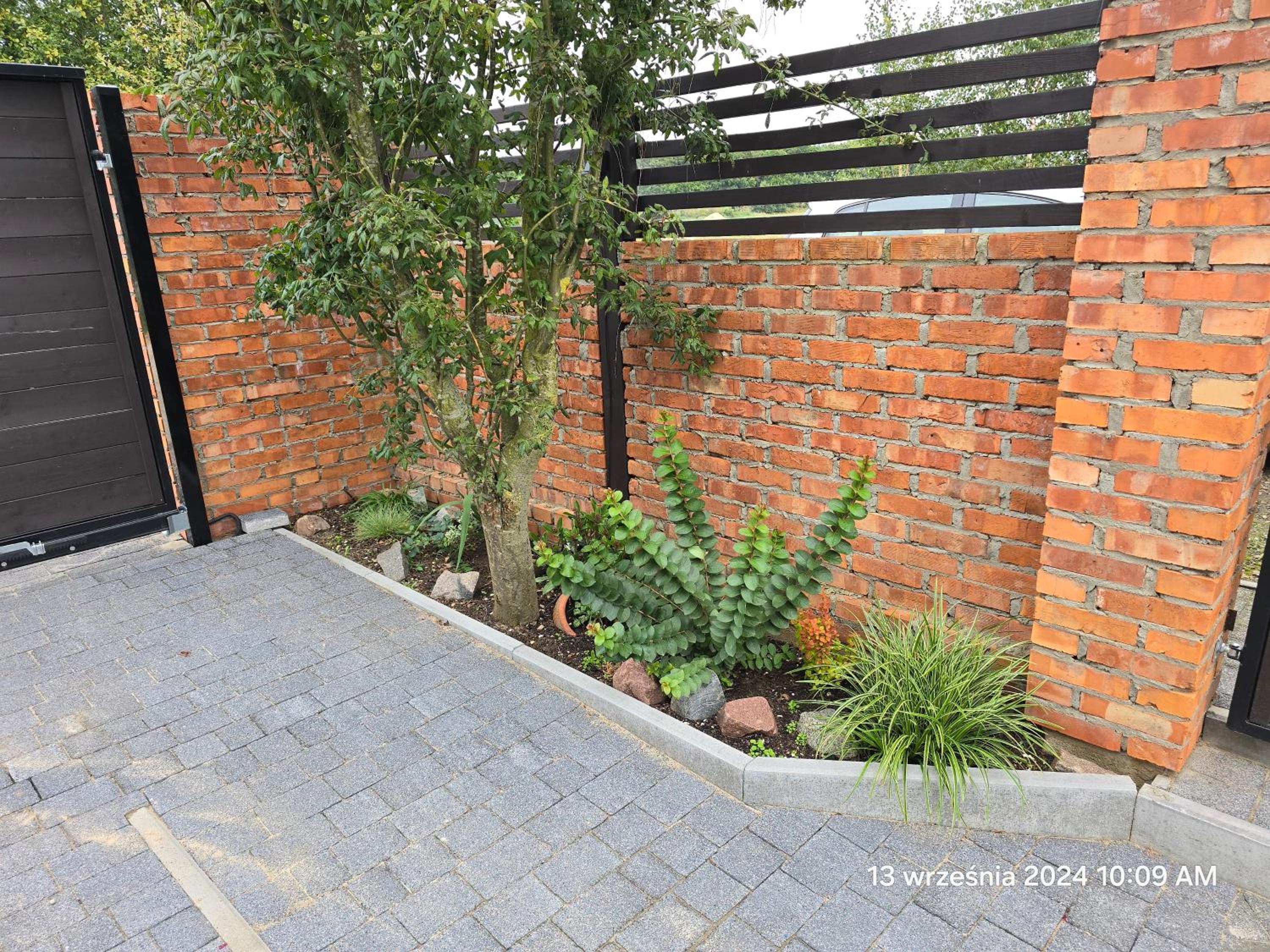 Photo 26