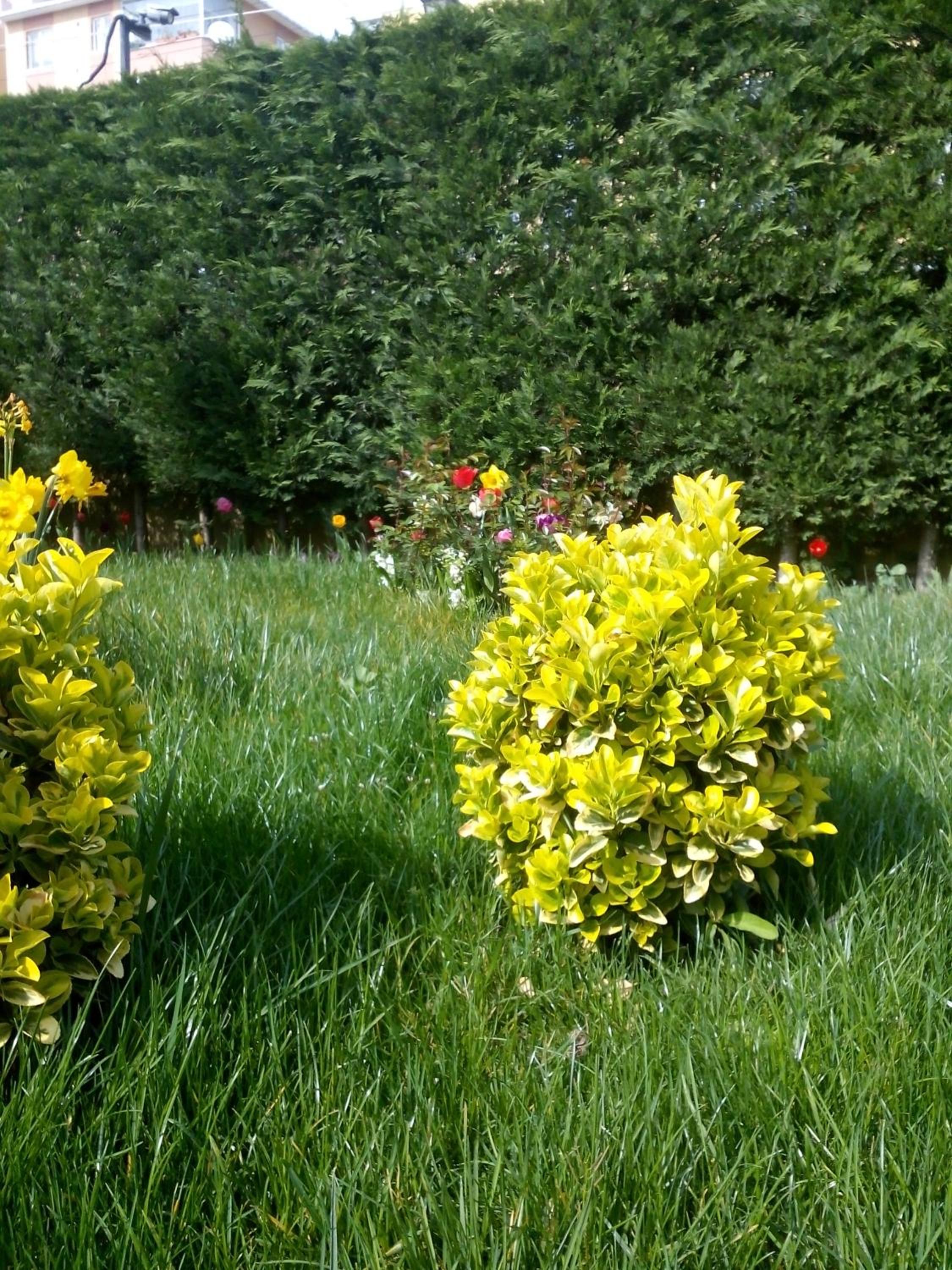 Pendik Marine Otel - Image 23