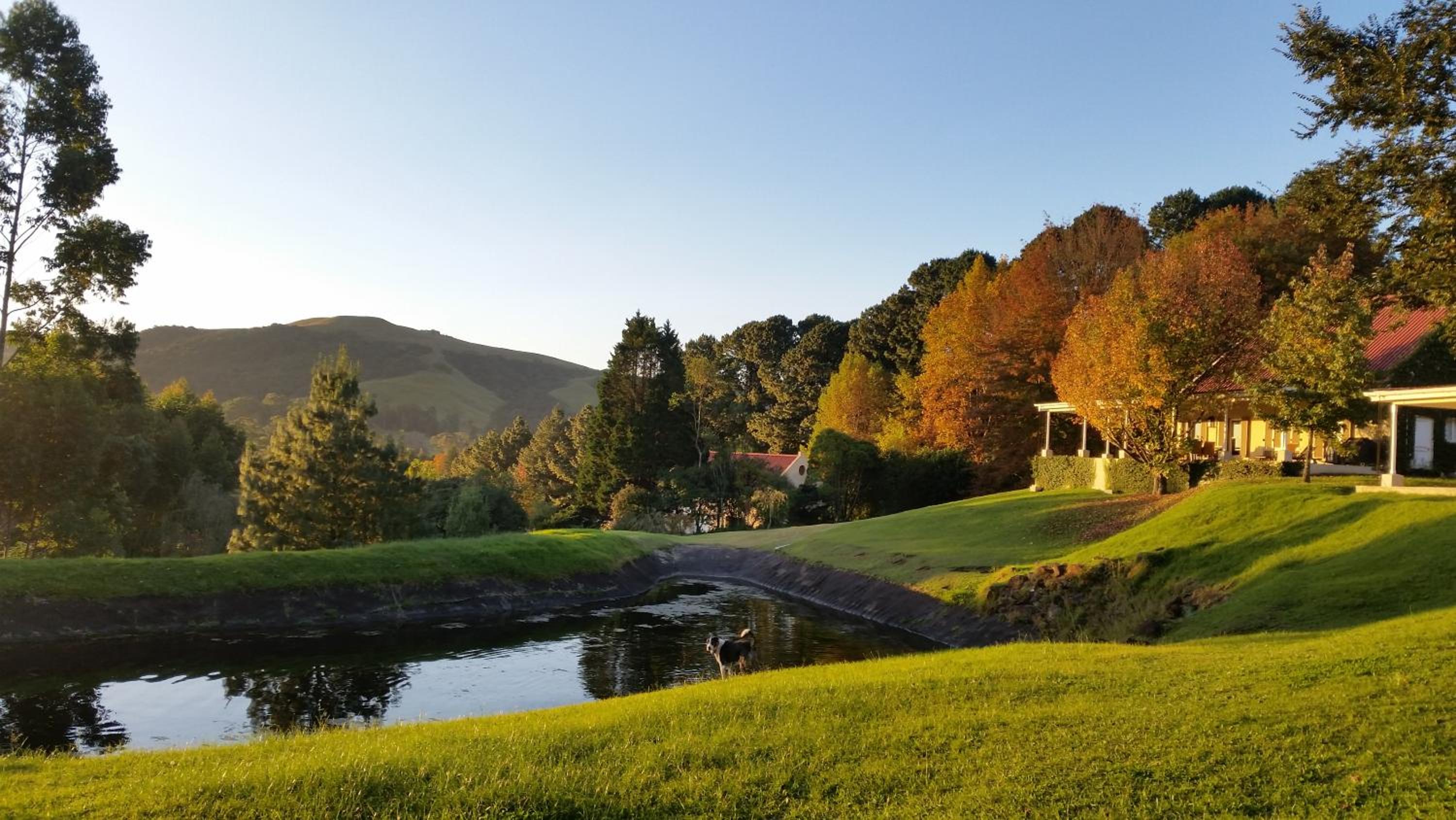 Arum Hill Lodge
