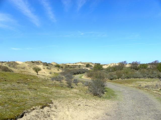 Photo 35