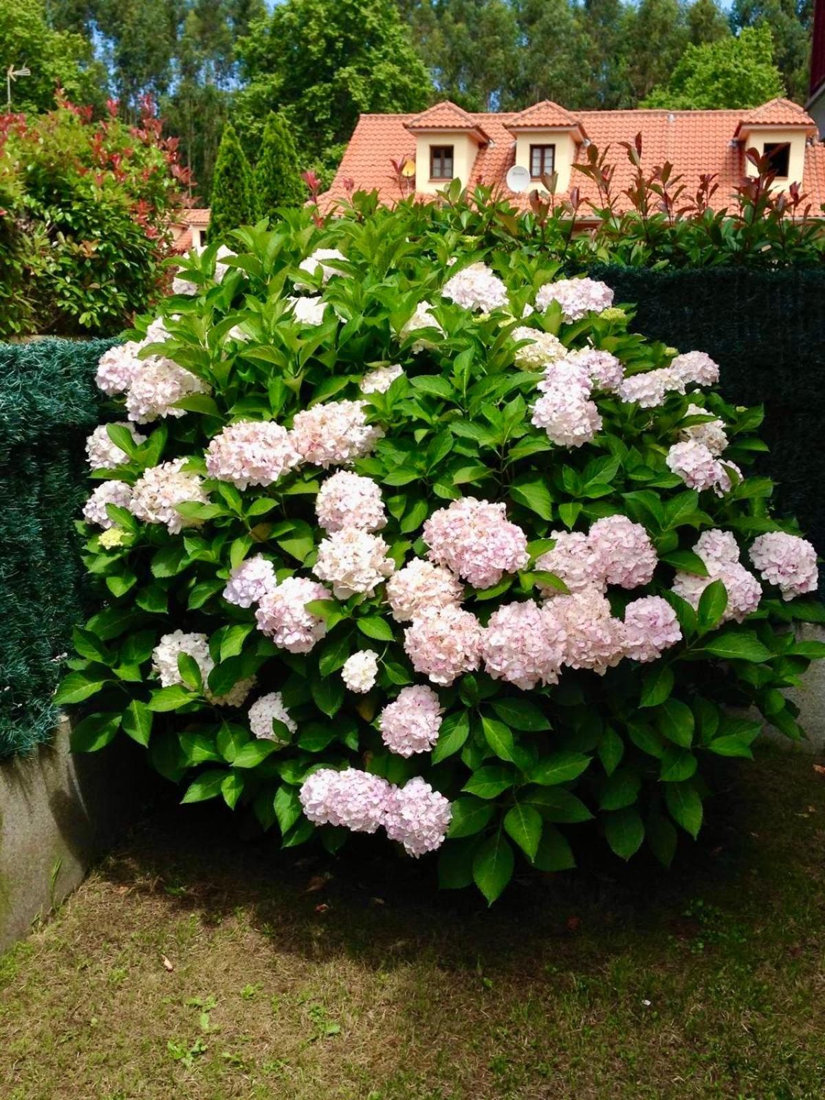Apartamento en Comillas-Garden Apartment in Comillas