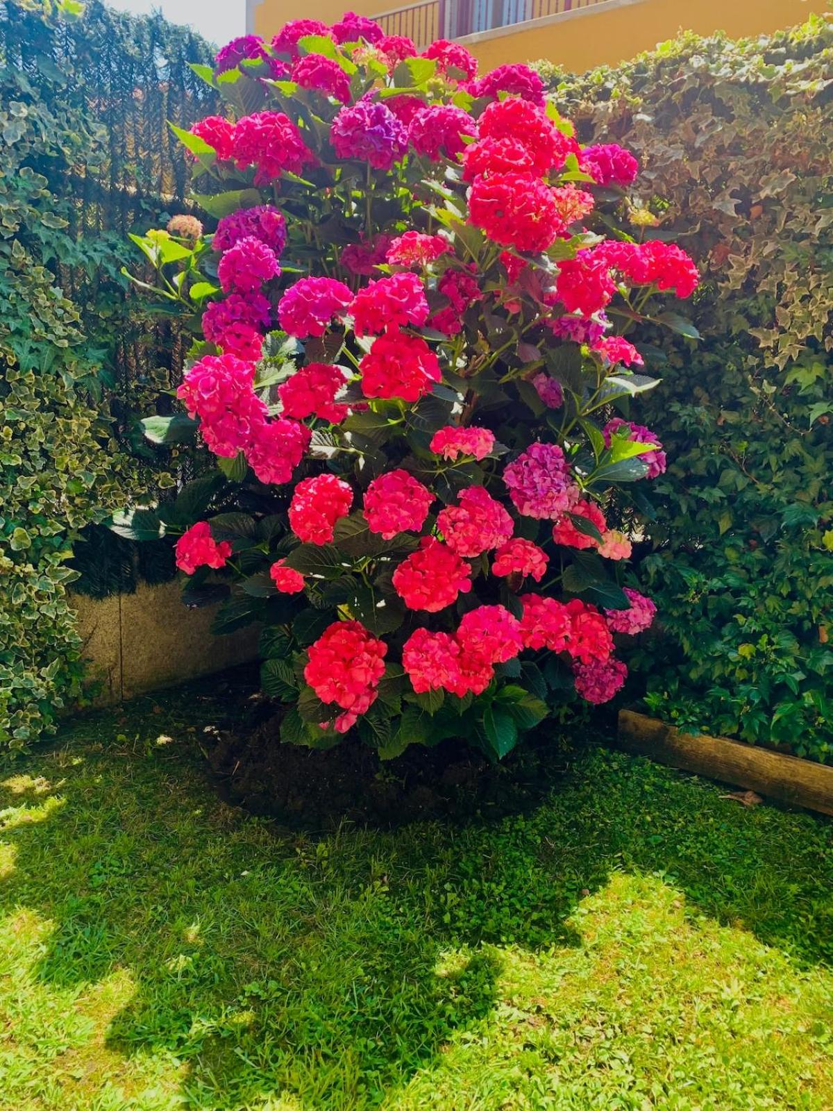 Apartamento en Comillas-Garden Apartment in Comillas