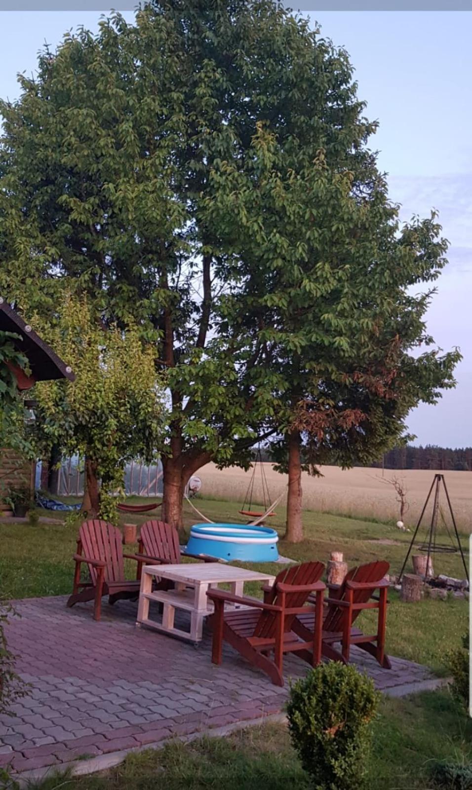 Photo 43