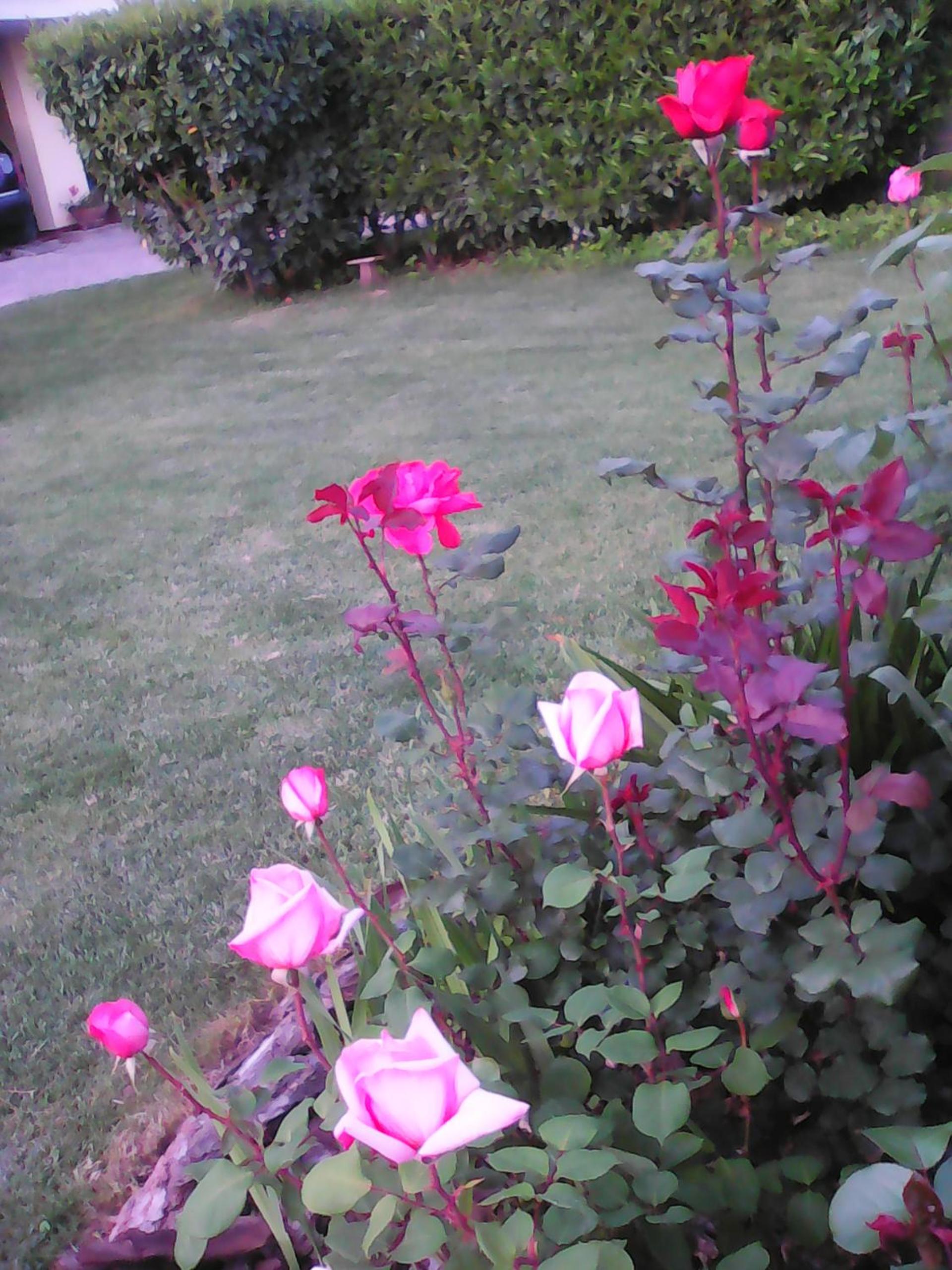 Photo 27