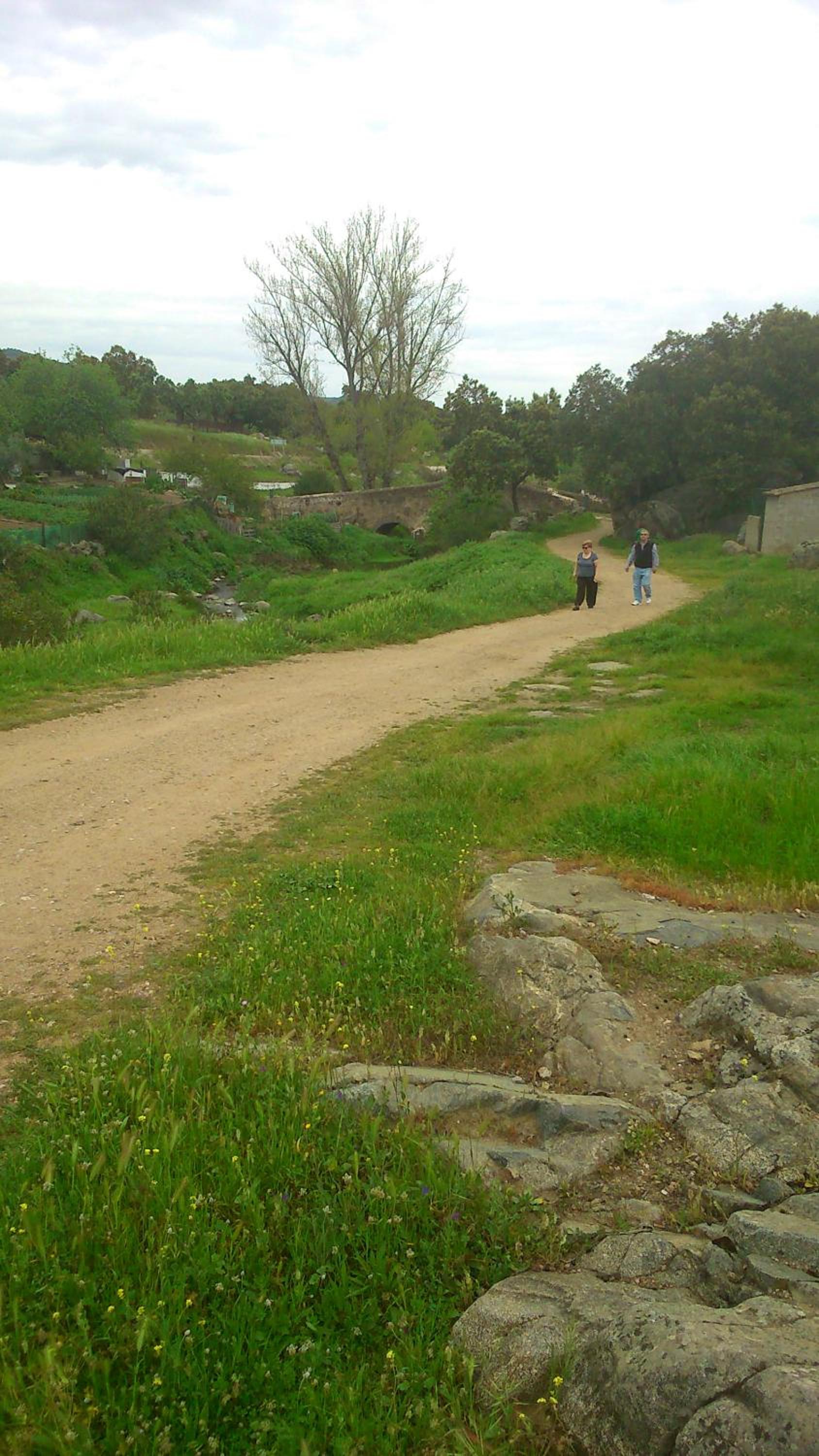 Photo 15