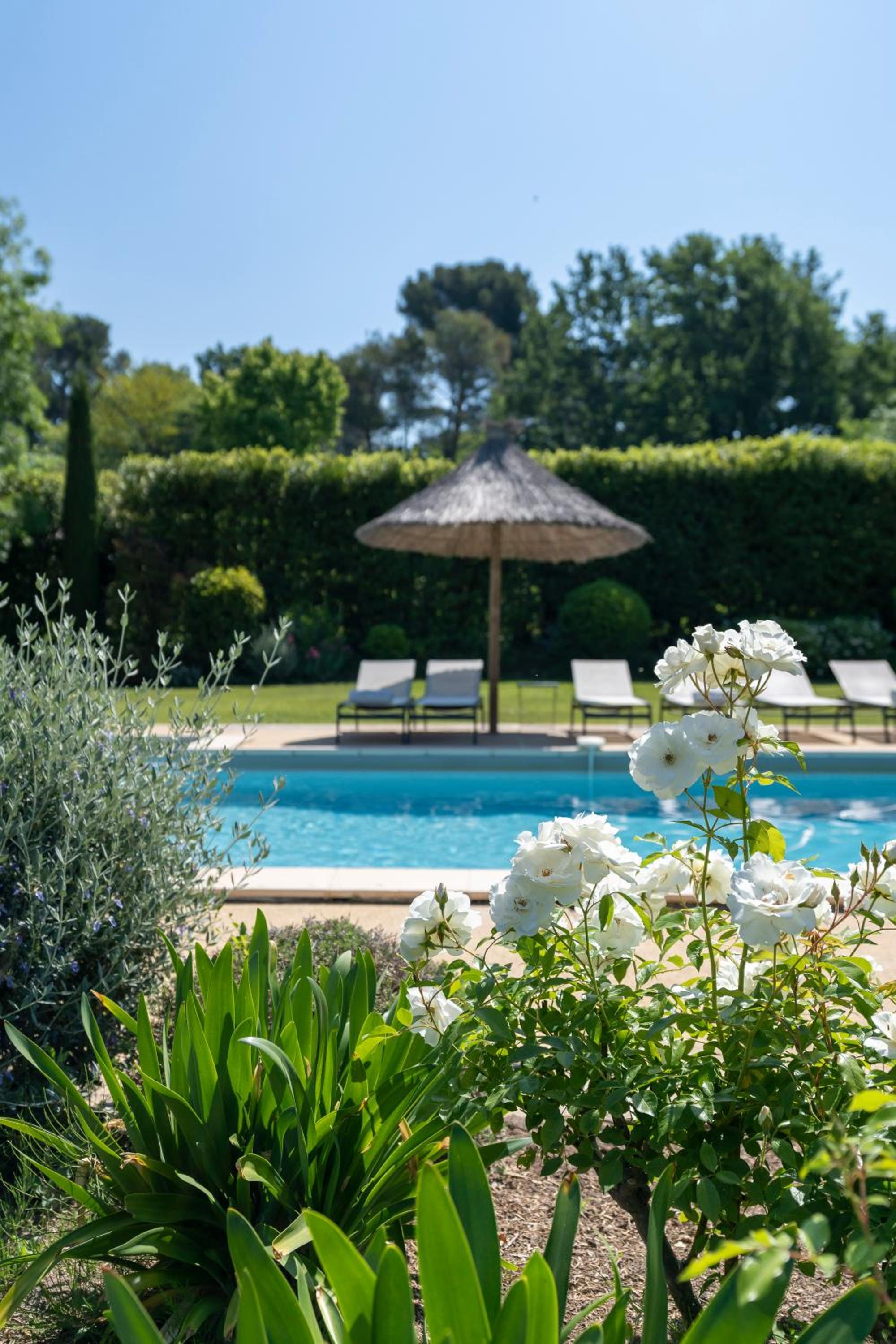 Villa Indigo, photo 41