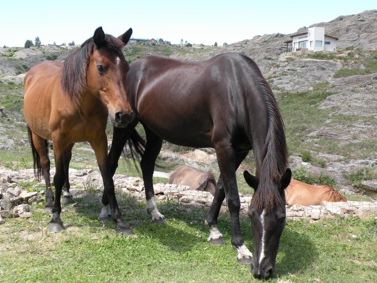 Brisas del Champaquí