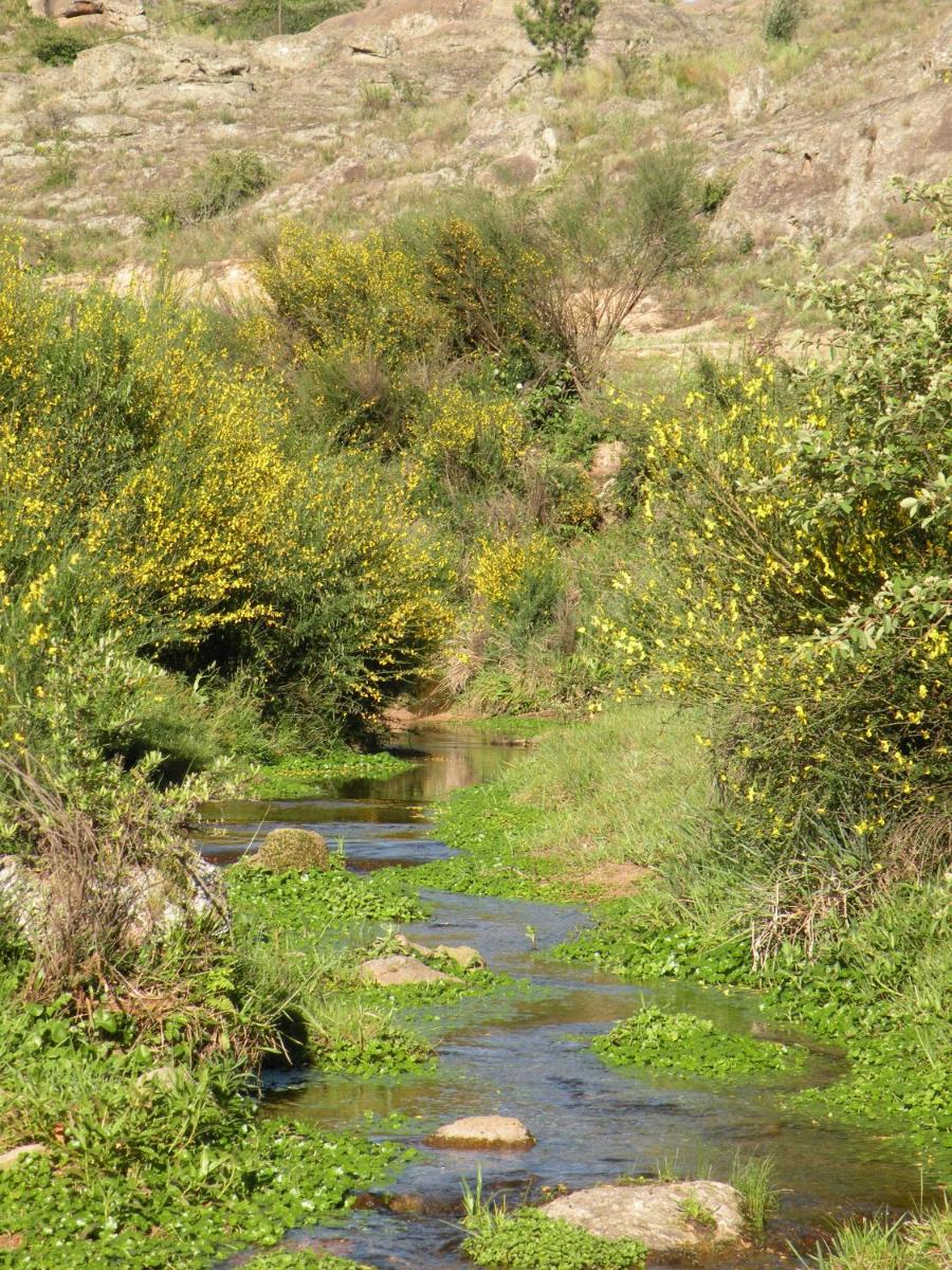 Brisas del Champaquí