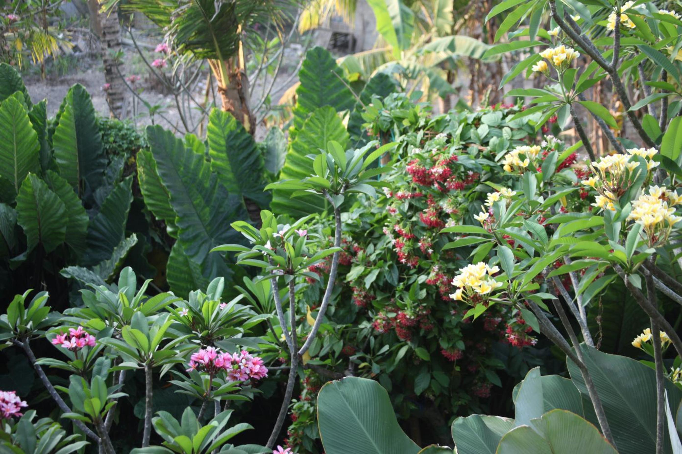 Ubud Wana Resort