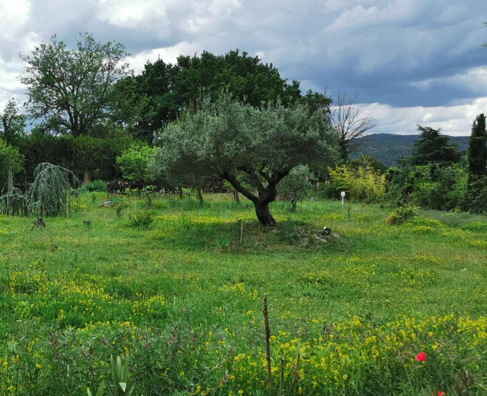 Jolie studio en Provence -- 9 Route de Sainte-tulle à Pierrevert !