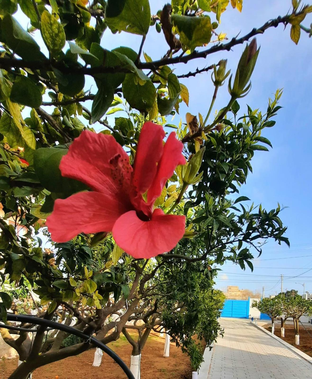A pochi passi dal mare