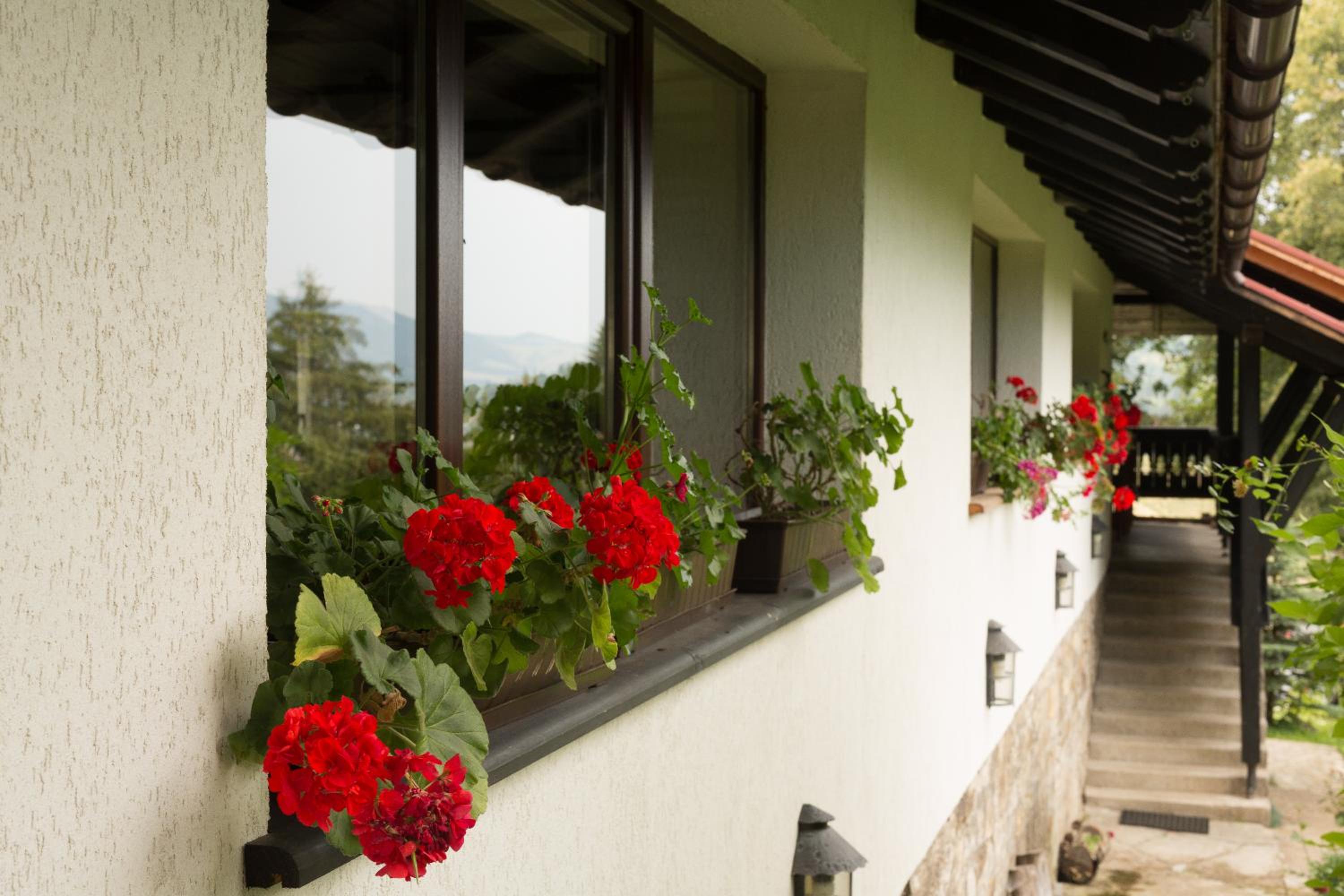 Pension Cabana Ionela