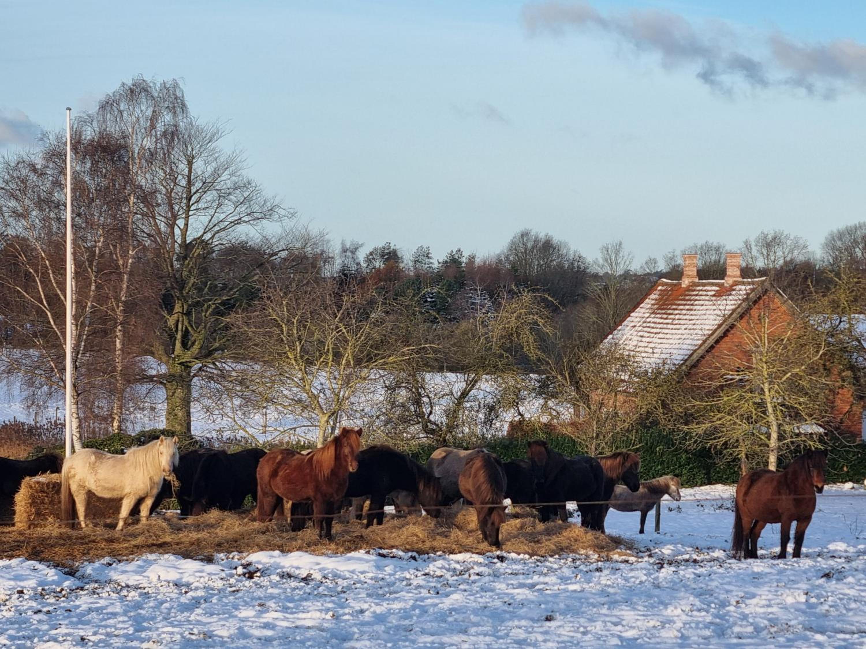 Gæstehuset på Agerholm