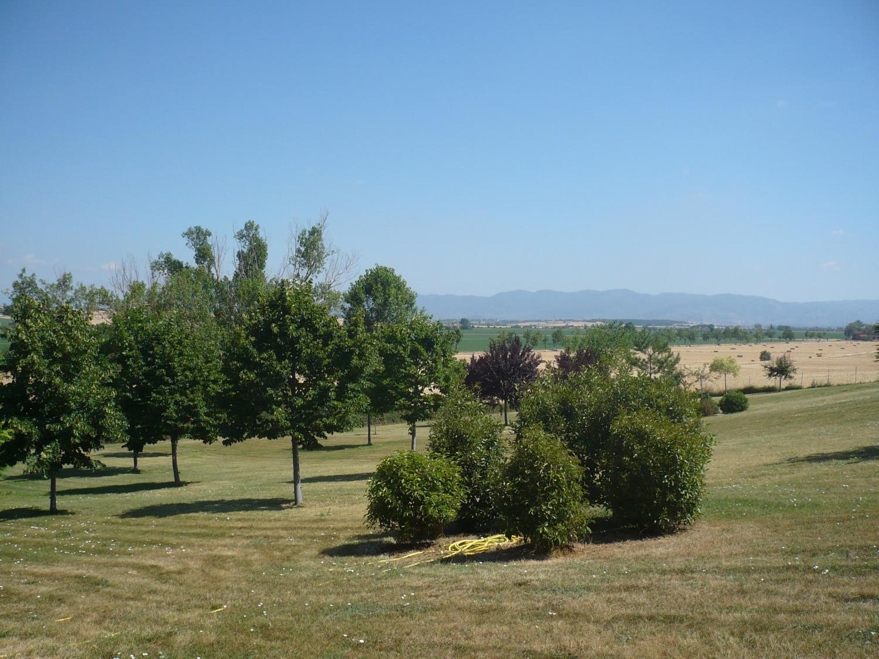 Photo 36
