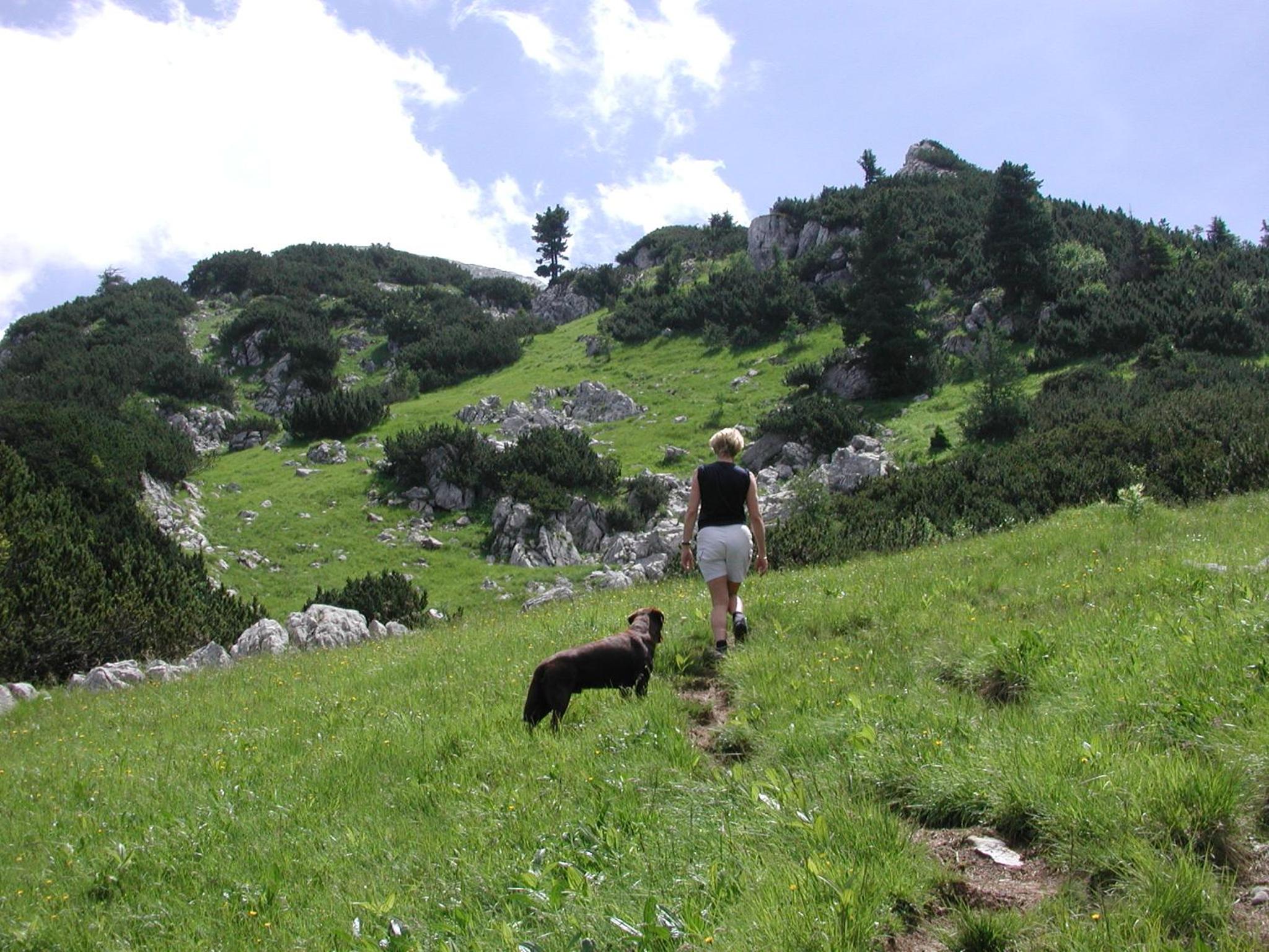 Photo 14
