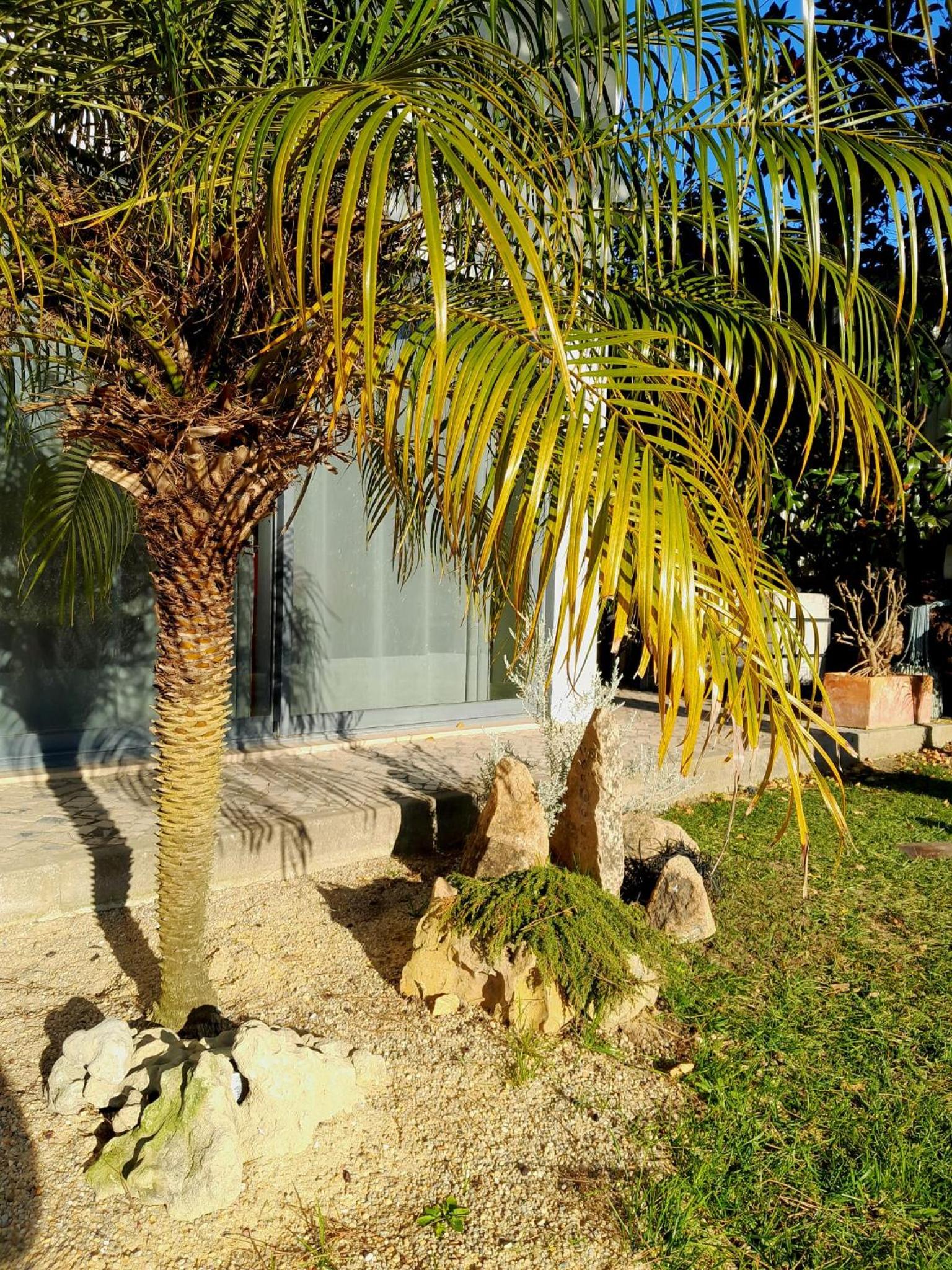 Photo 46