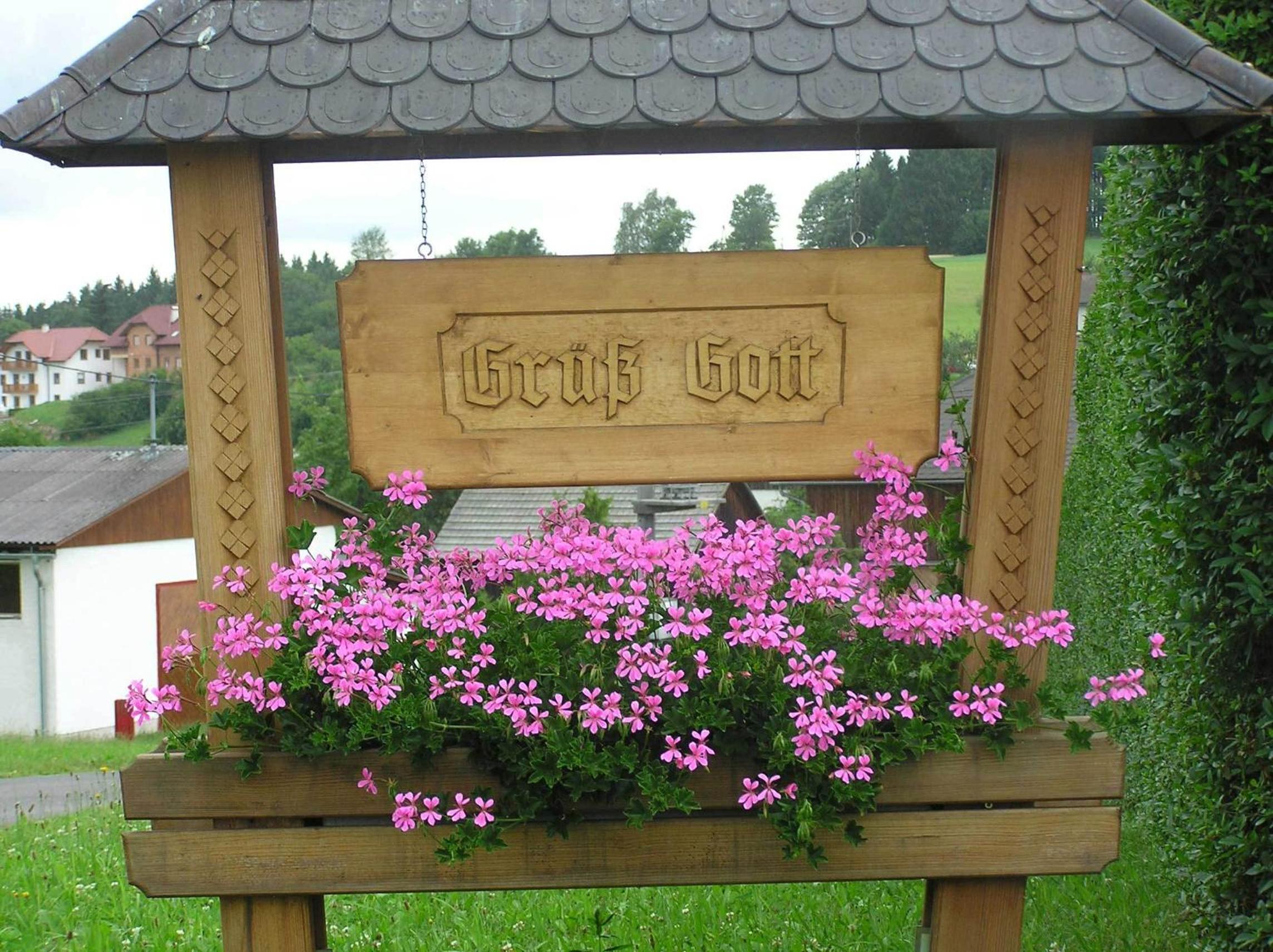 Photo 29