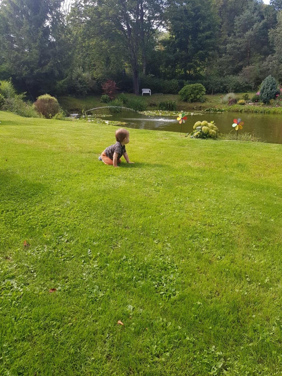 Photo 37