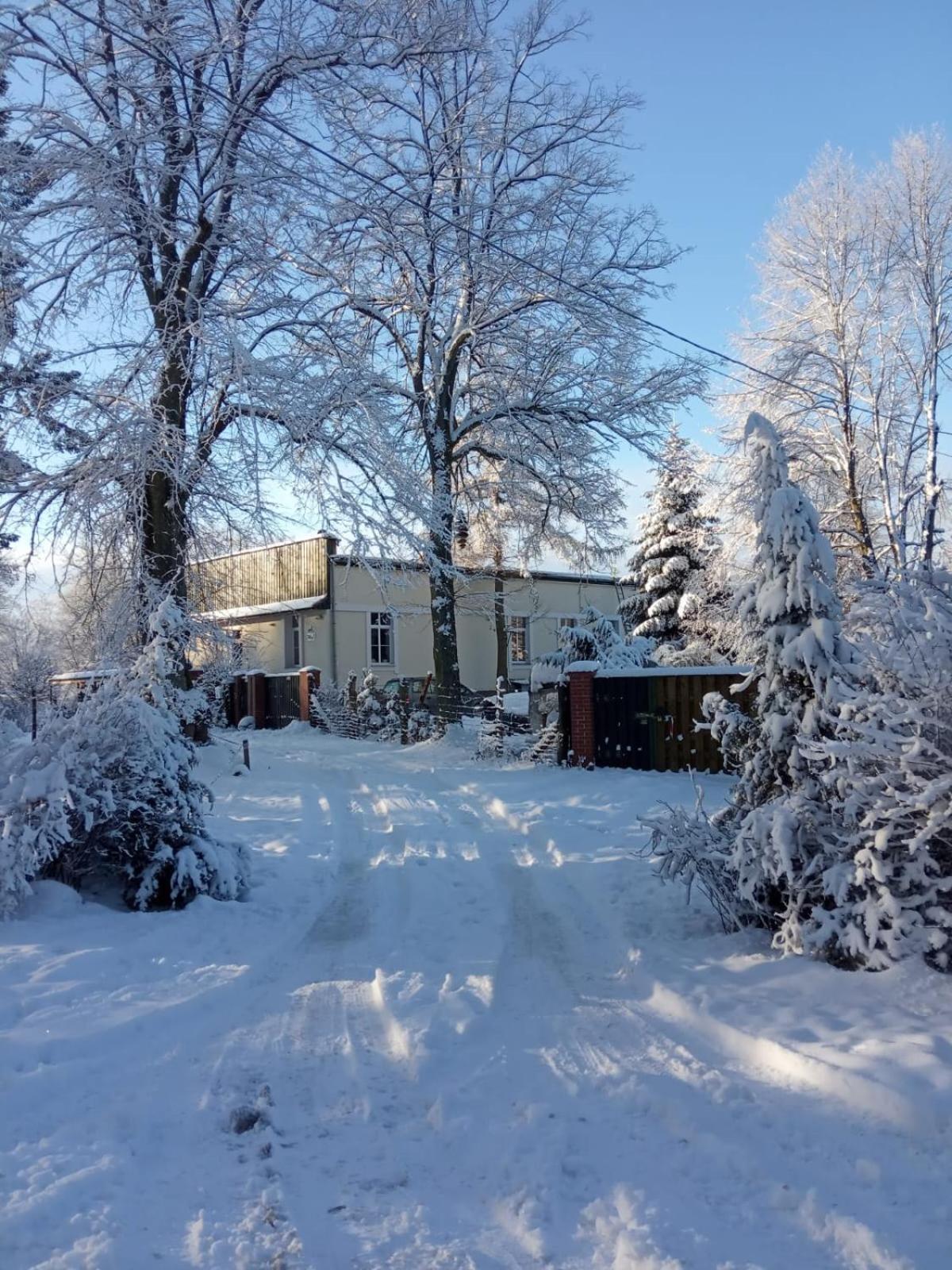 Photo 29