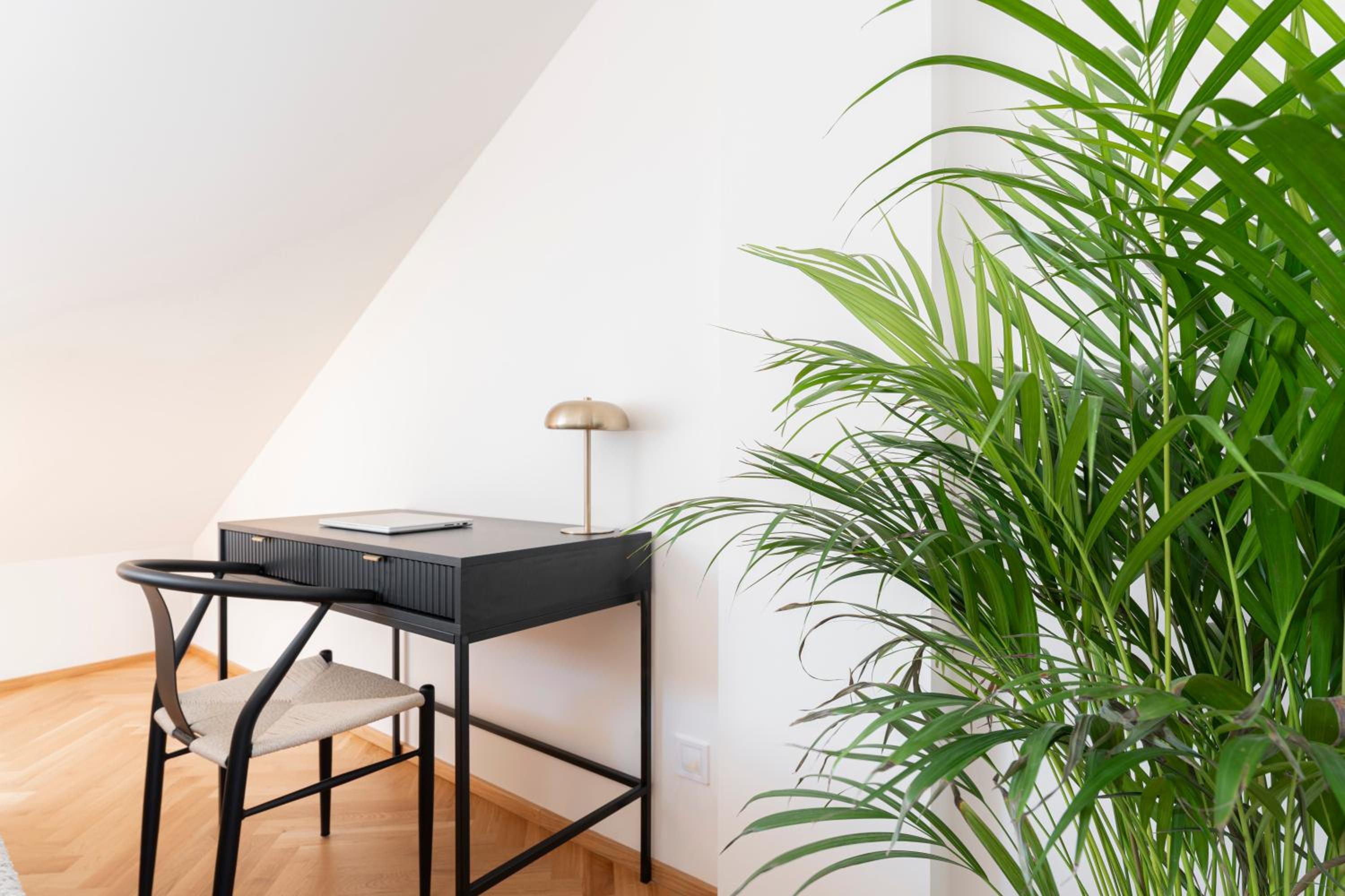 Visit Oomph Apartments