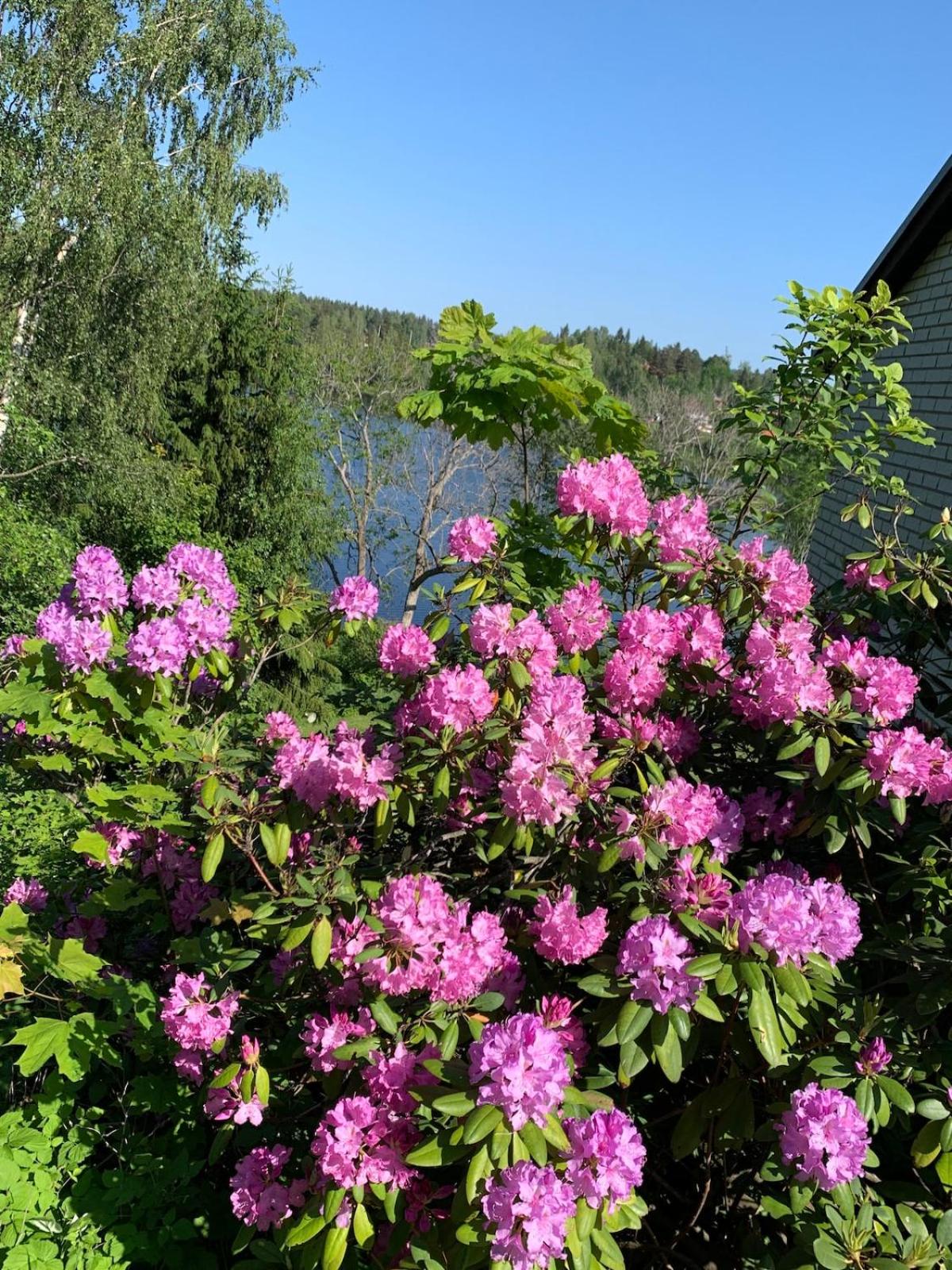 Lakeview Villa