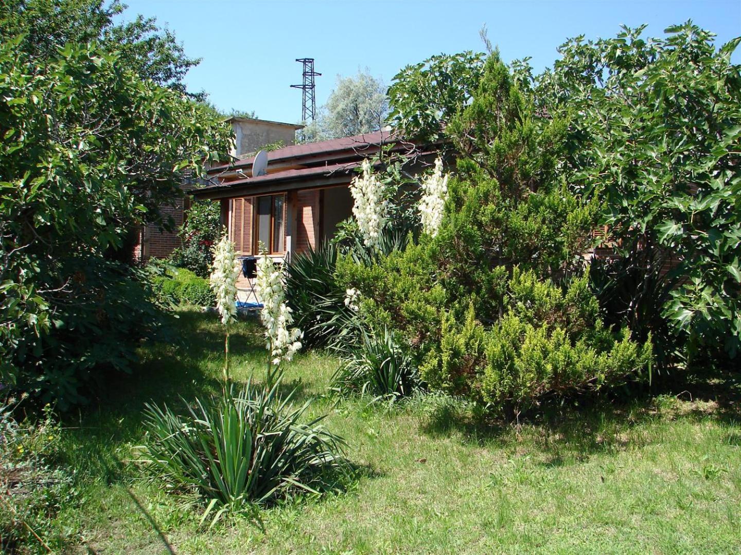 Photo 38