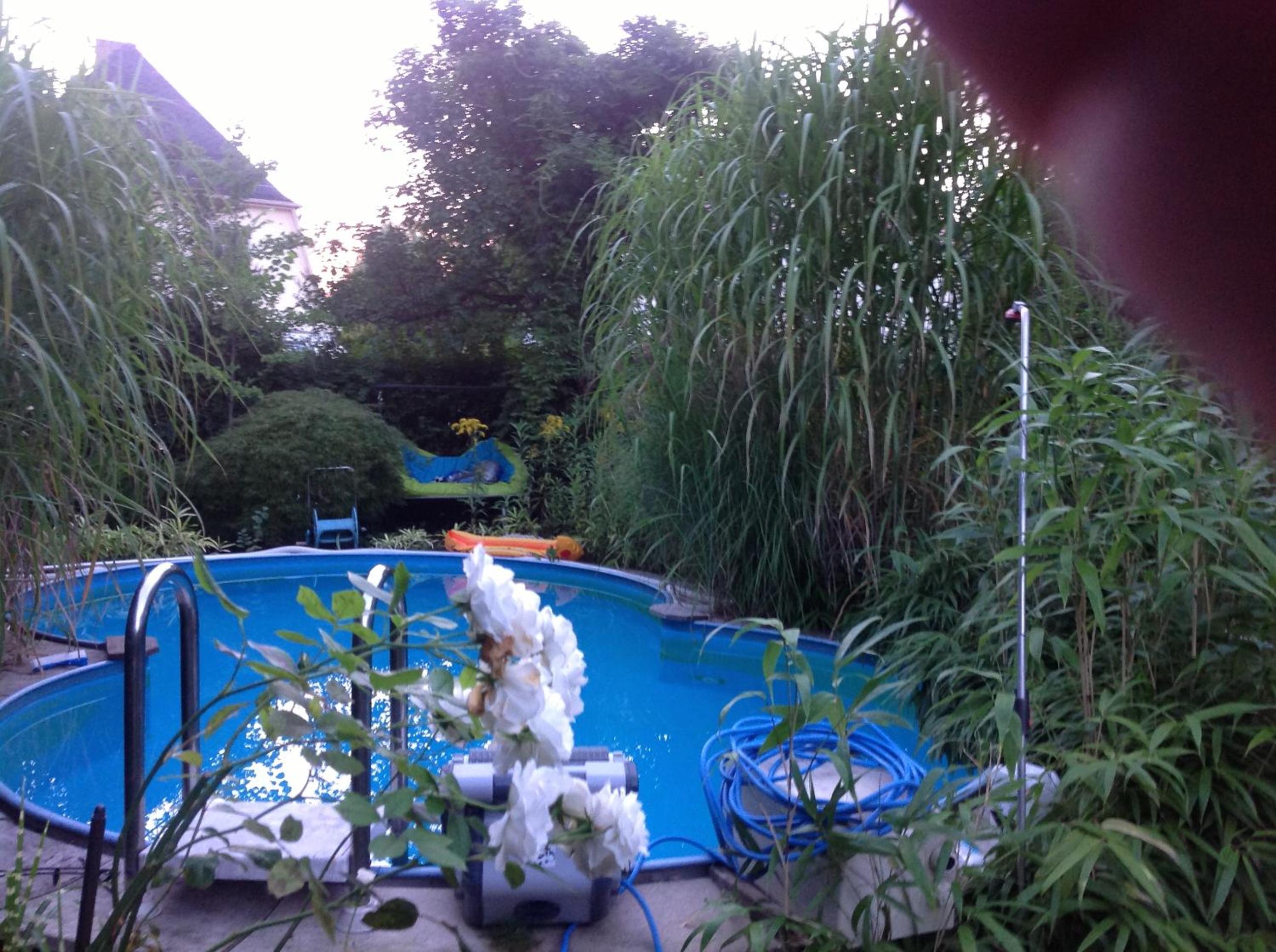 Photo 61