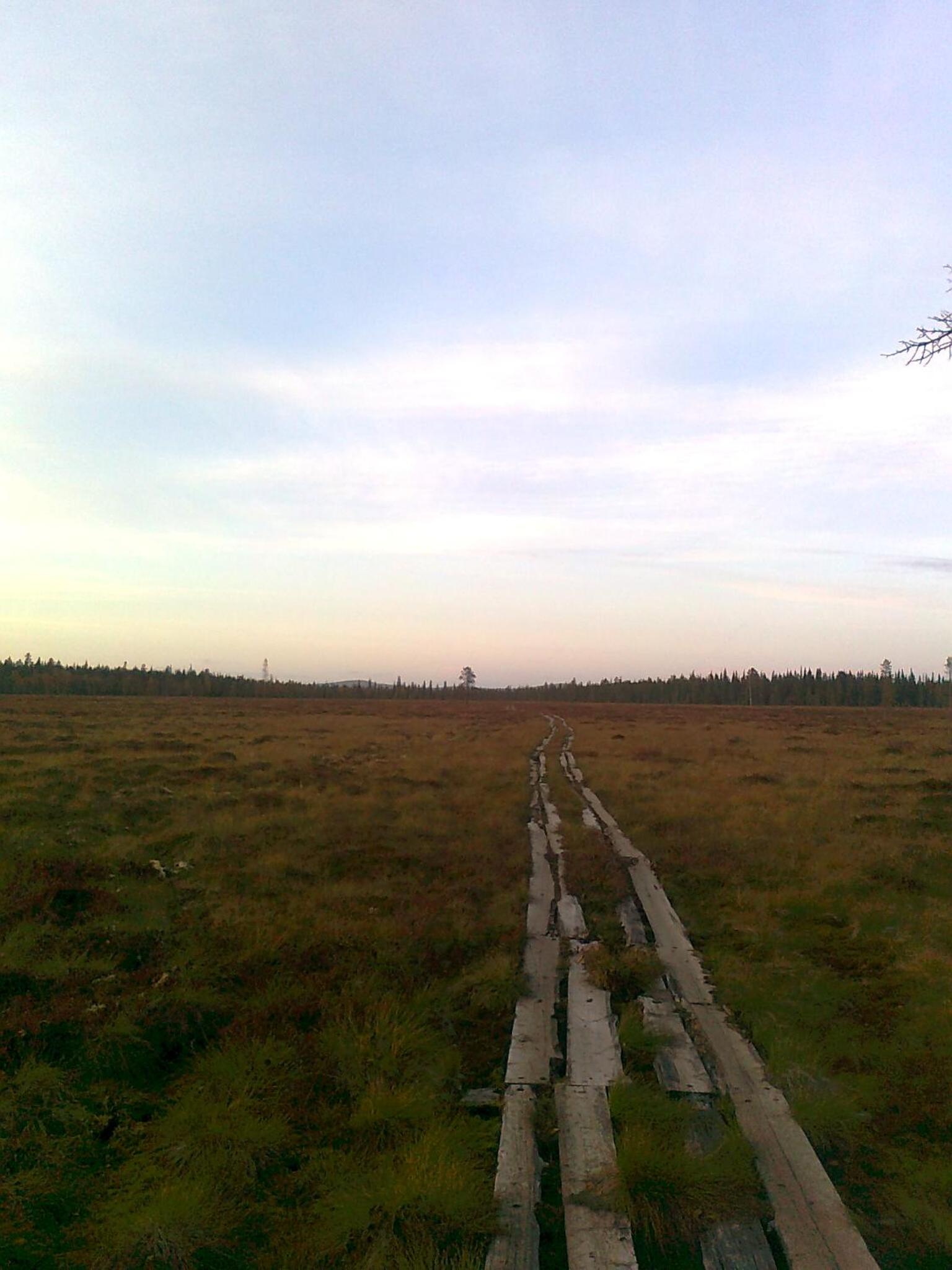 Photo 32