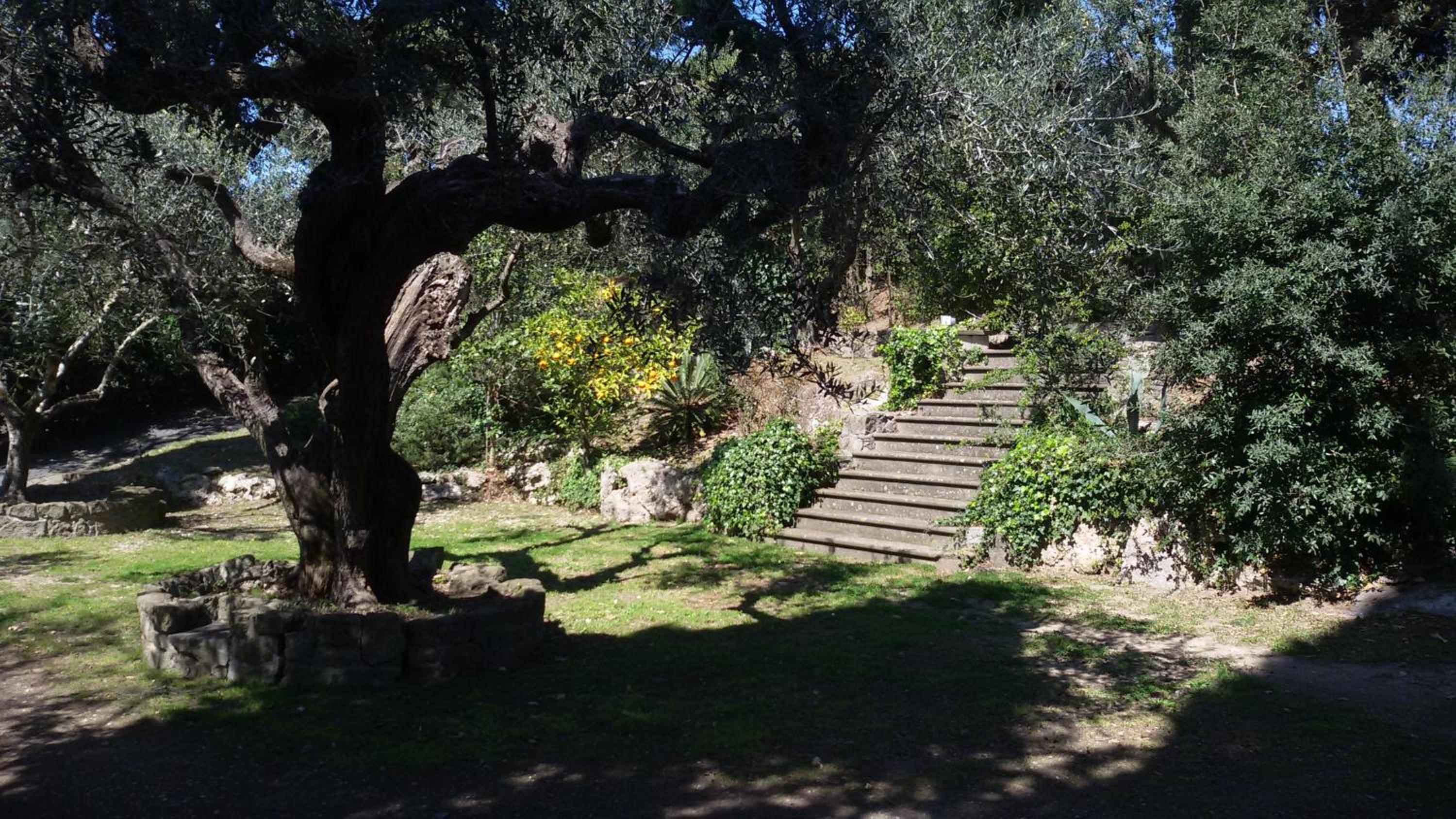 La Dolce Casetta