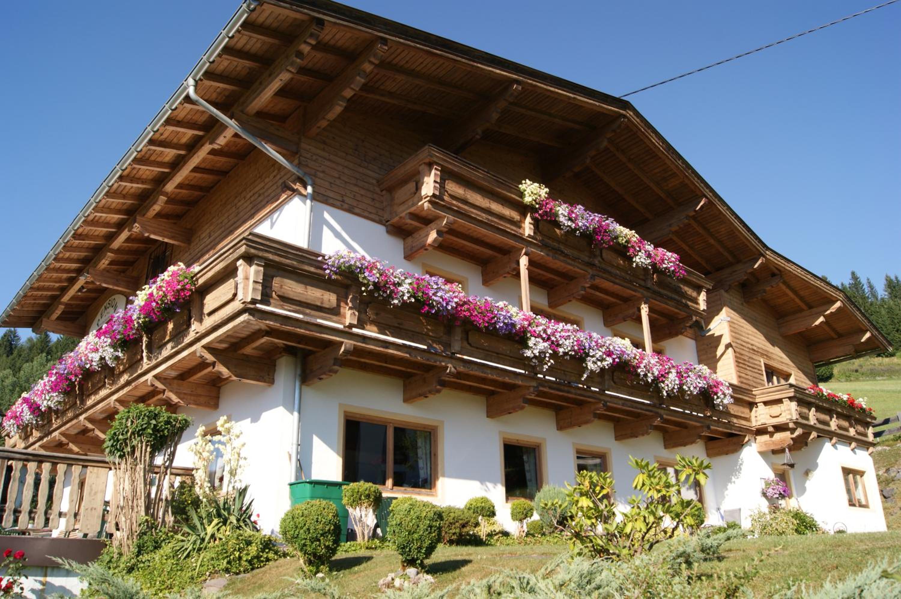 Pension Sonnleit'n, photo 60