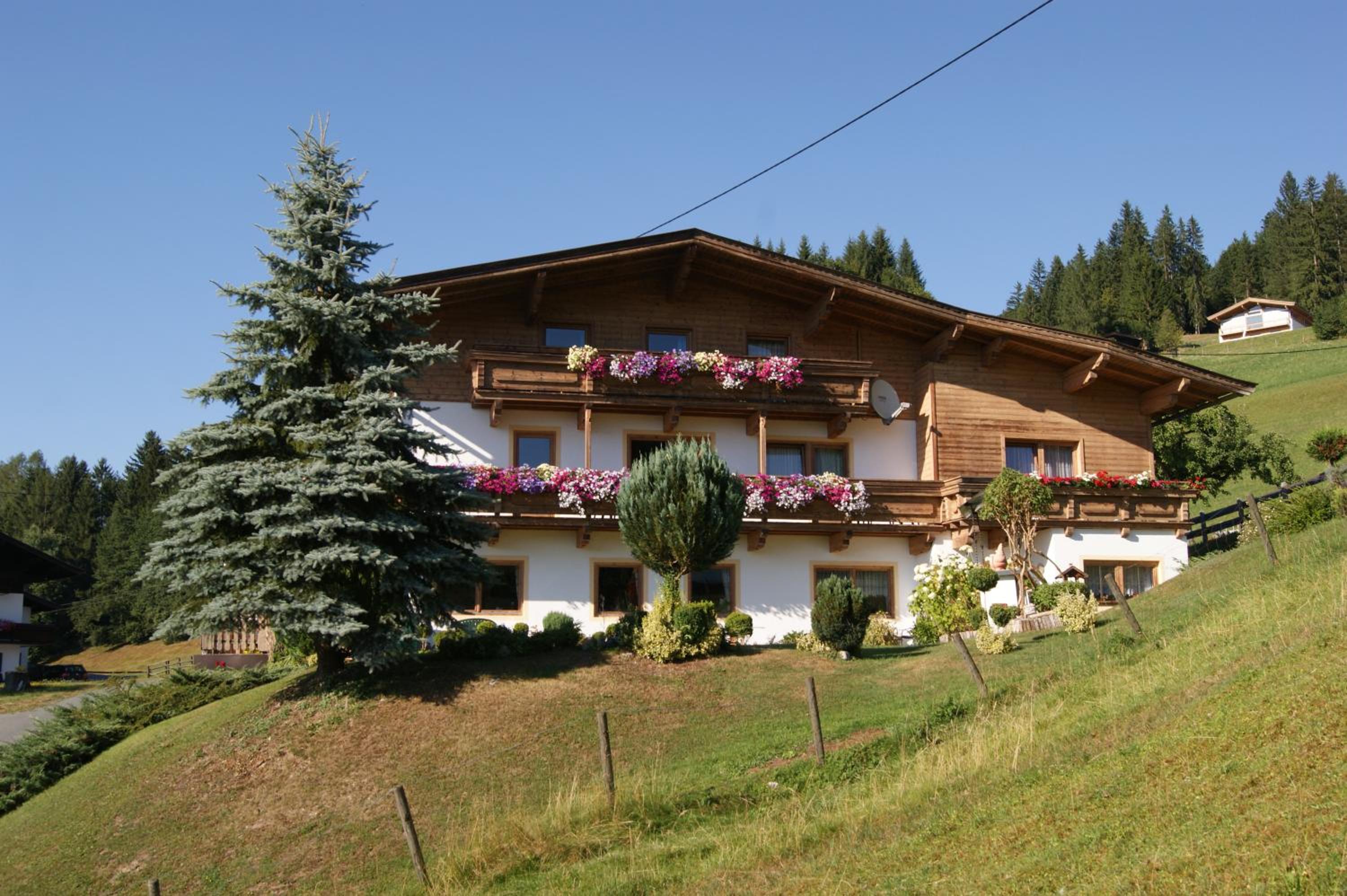 Pension Sonnleit'n, photo 44