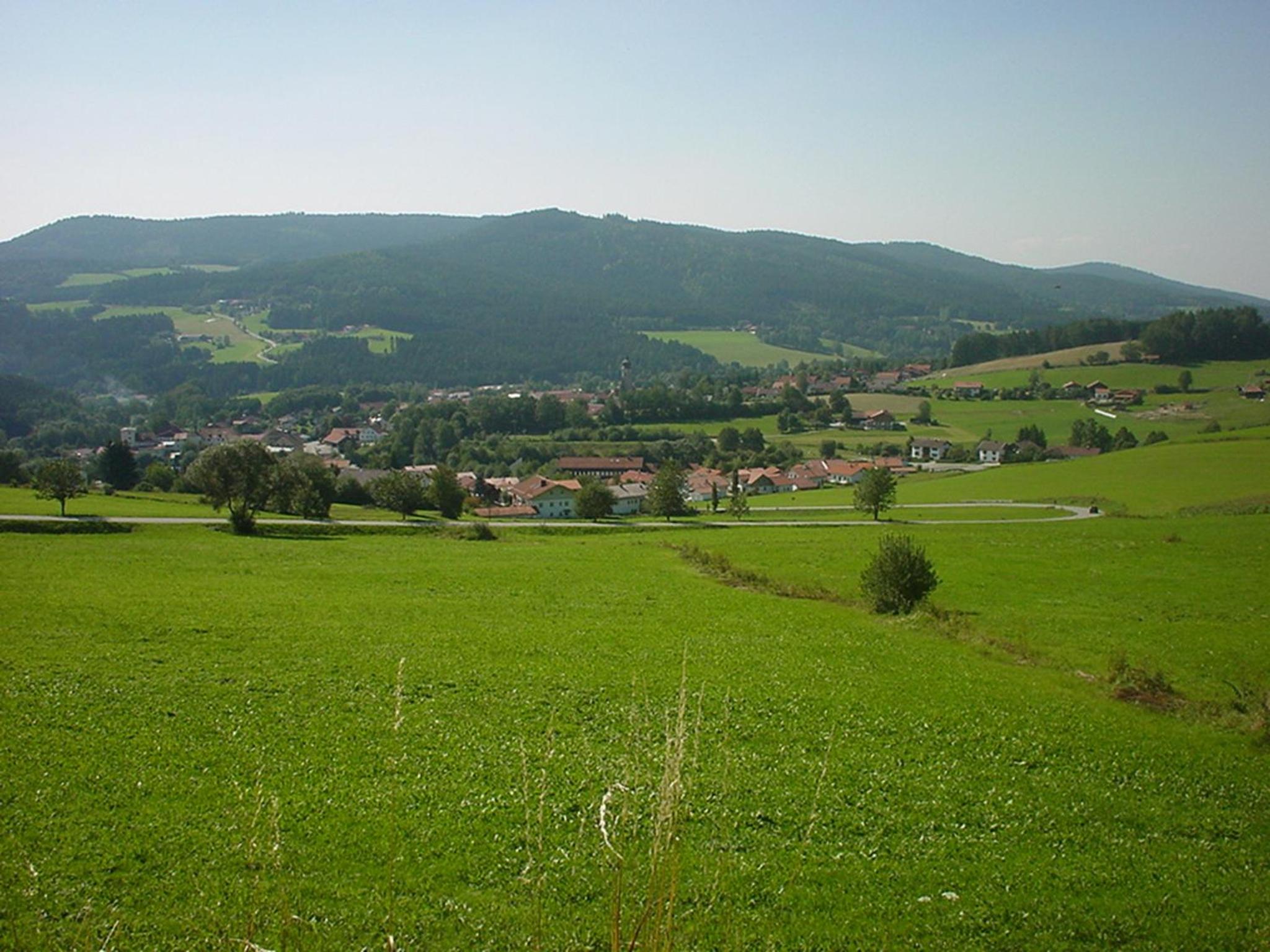 Photo 46