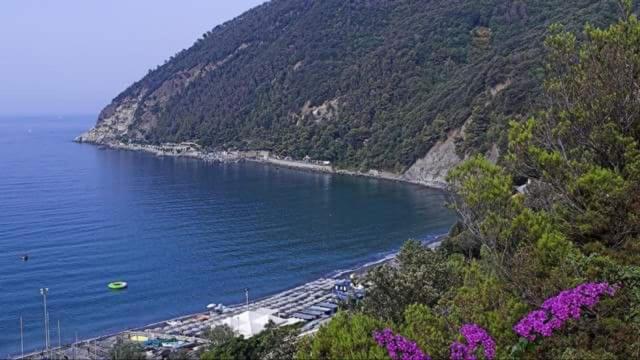Villa Venino view 5