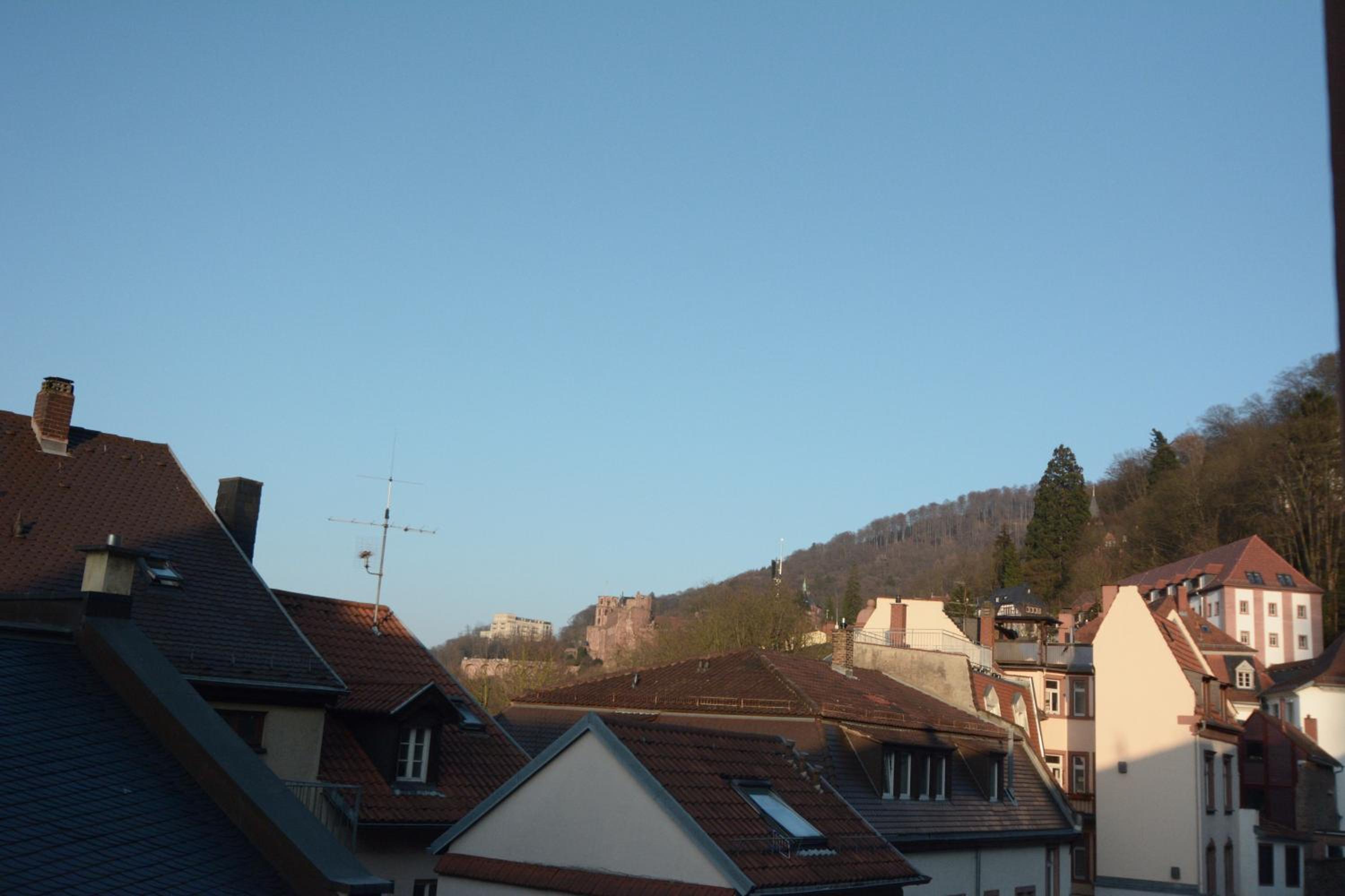 Photo 32