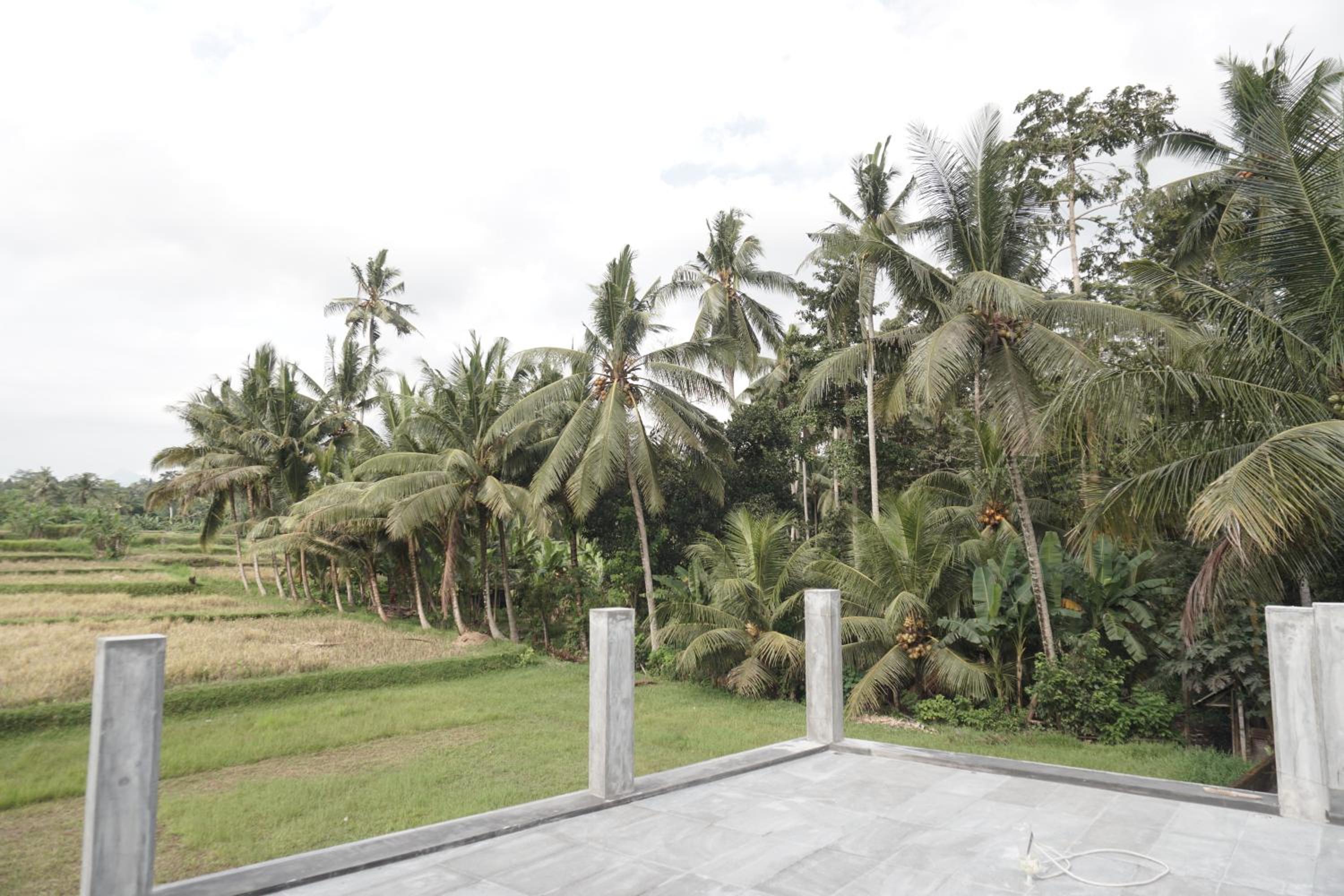 Mada Homestay