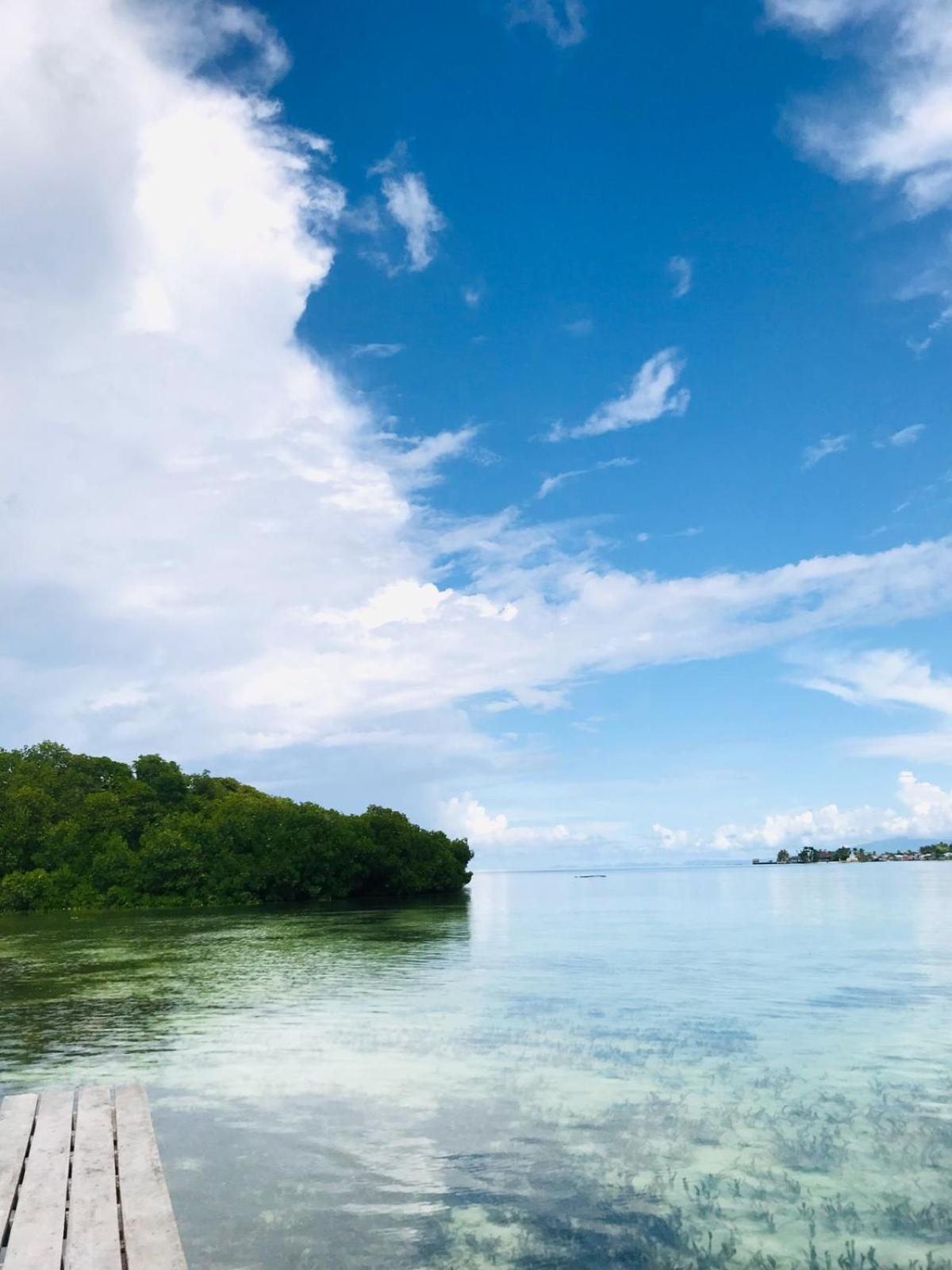 Senjahomestayrajaampat