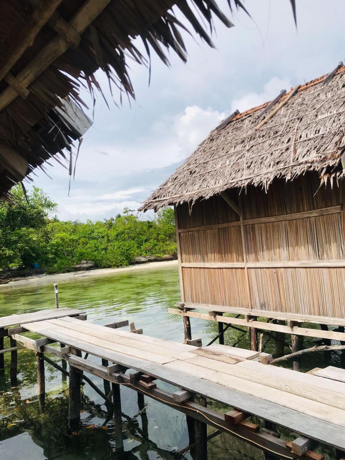 Senjahomestayrajaampat