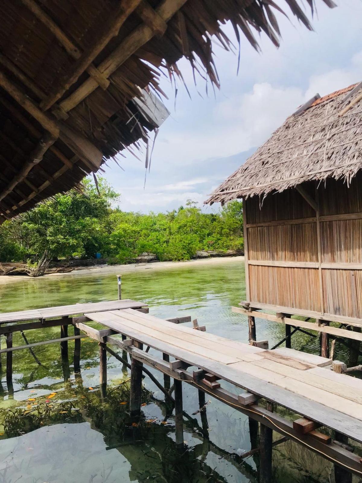 Senjahomestayrajaampat