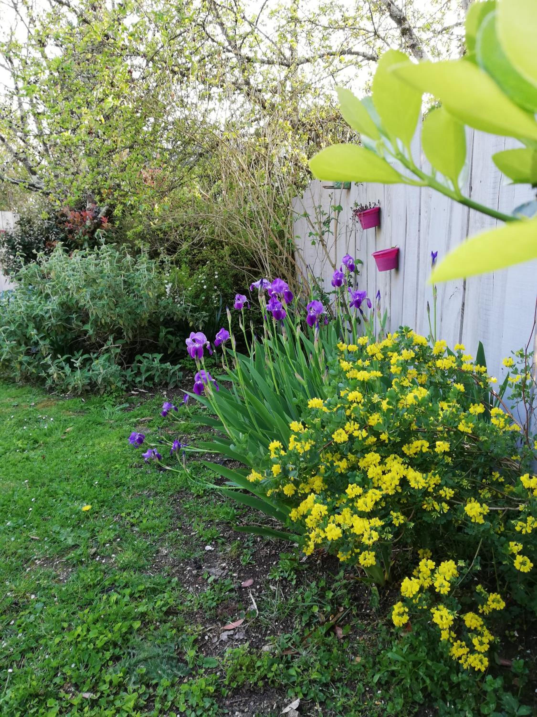 Photo 47