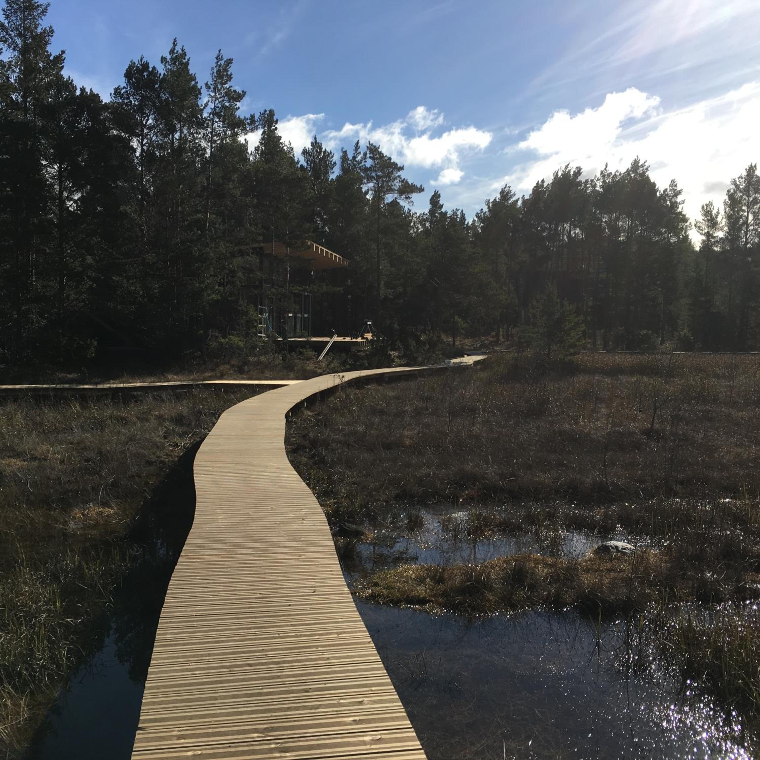 Maven Kustnära Stugor