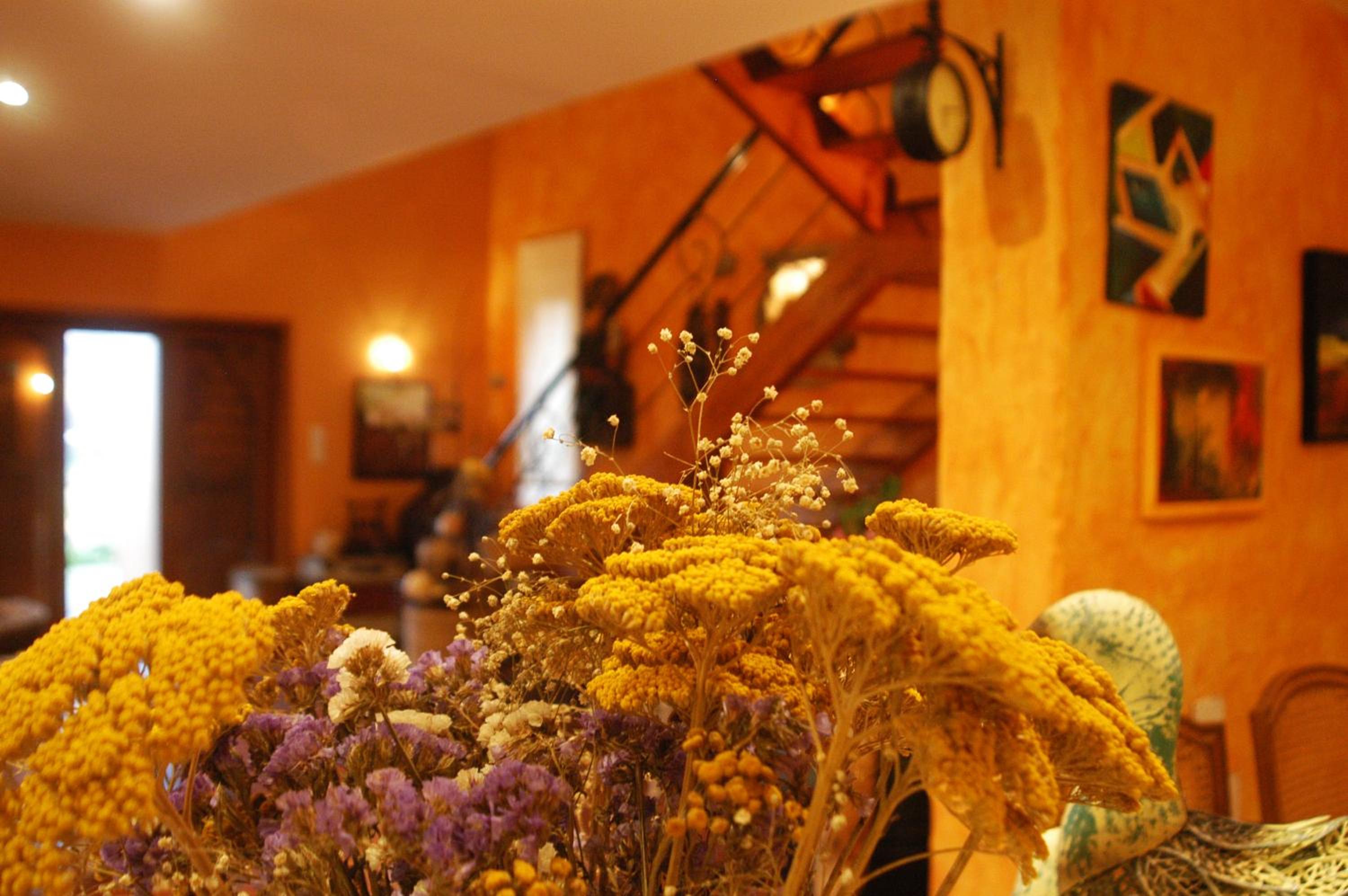 Olival House