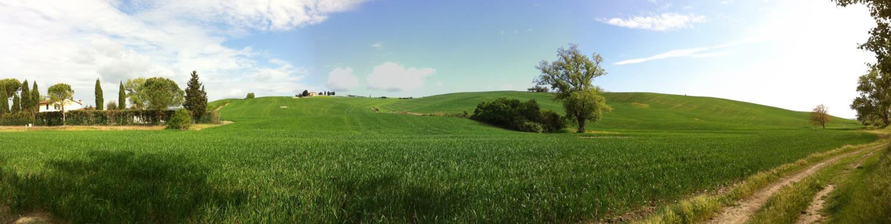 Photo 40