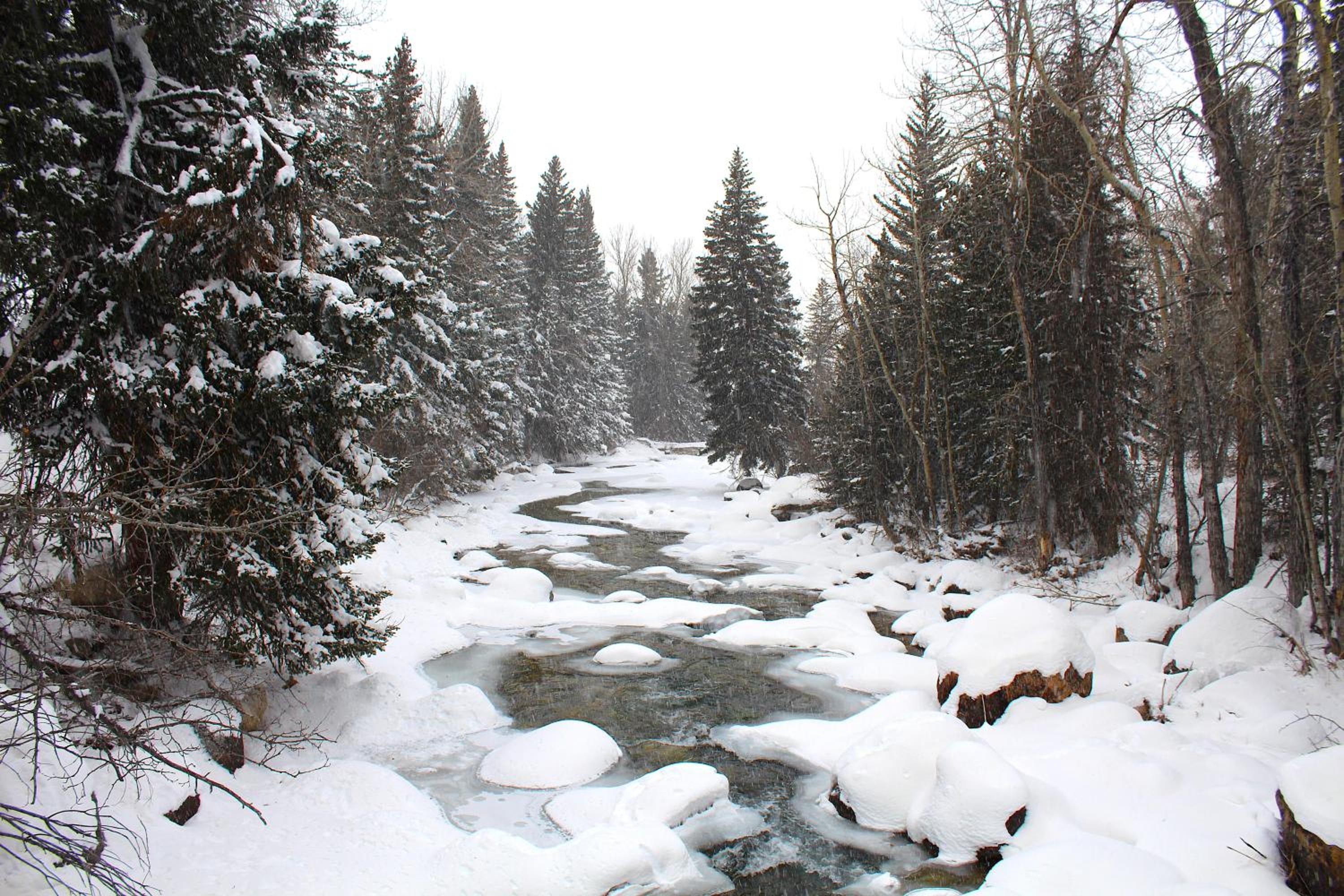 Rock Creek Resort