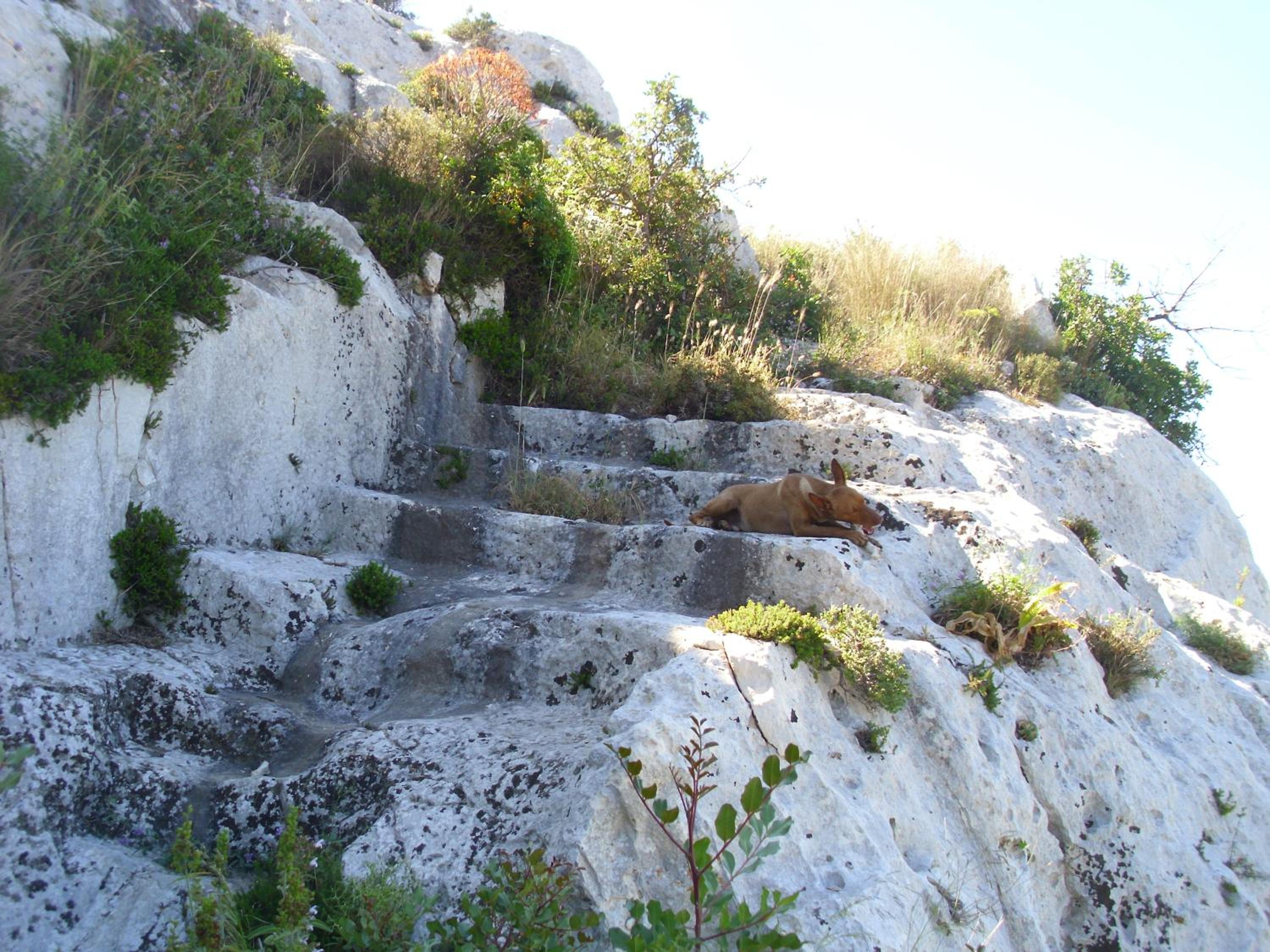 Photo 27