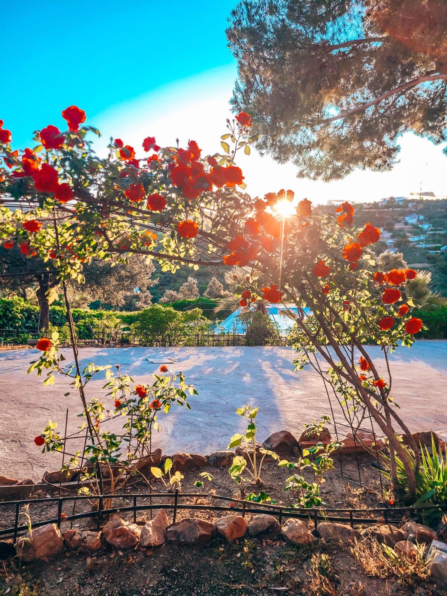 Casa Terra