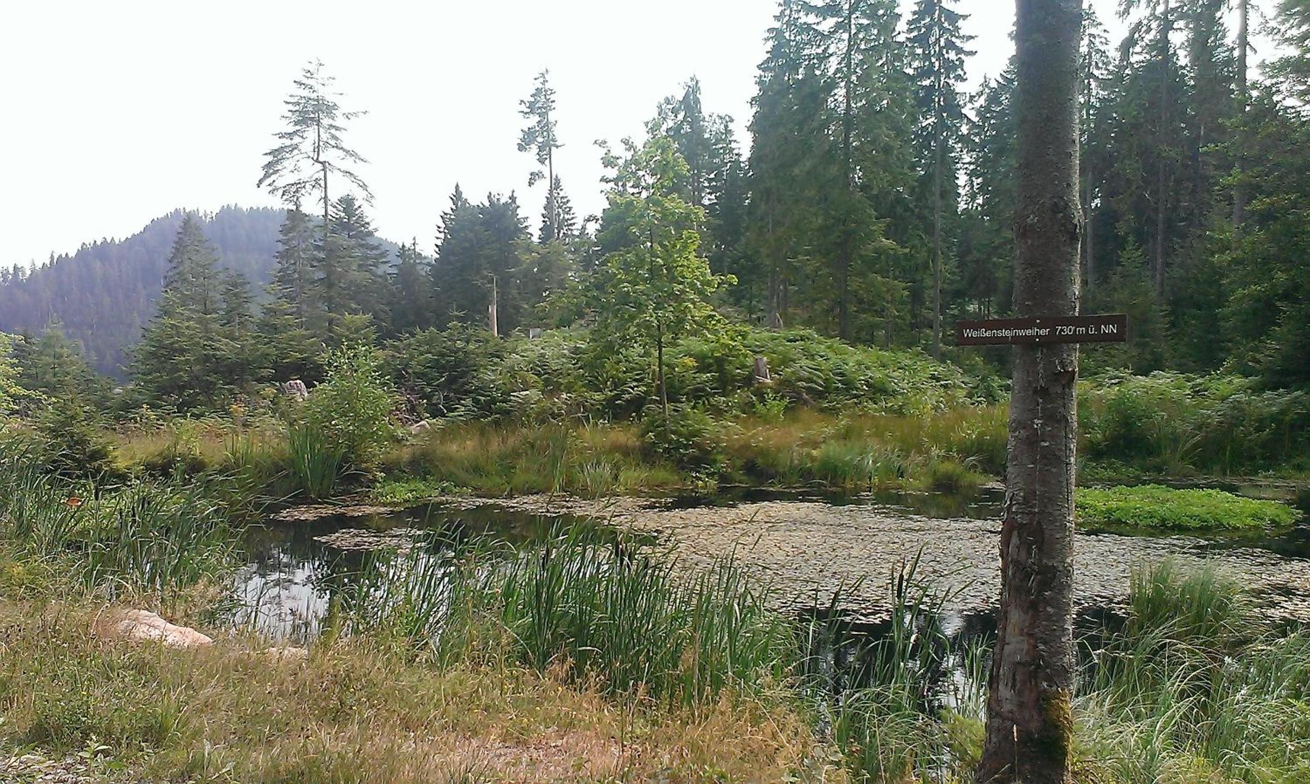 Photo 29
