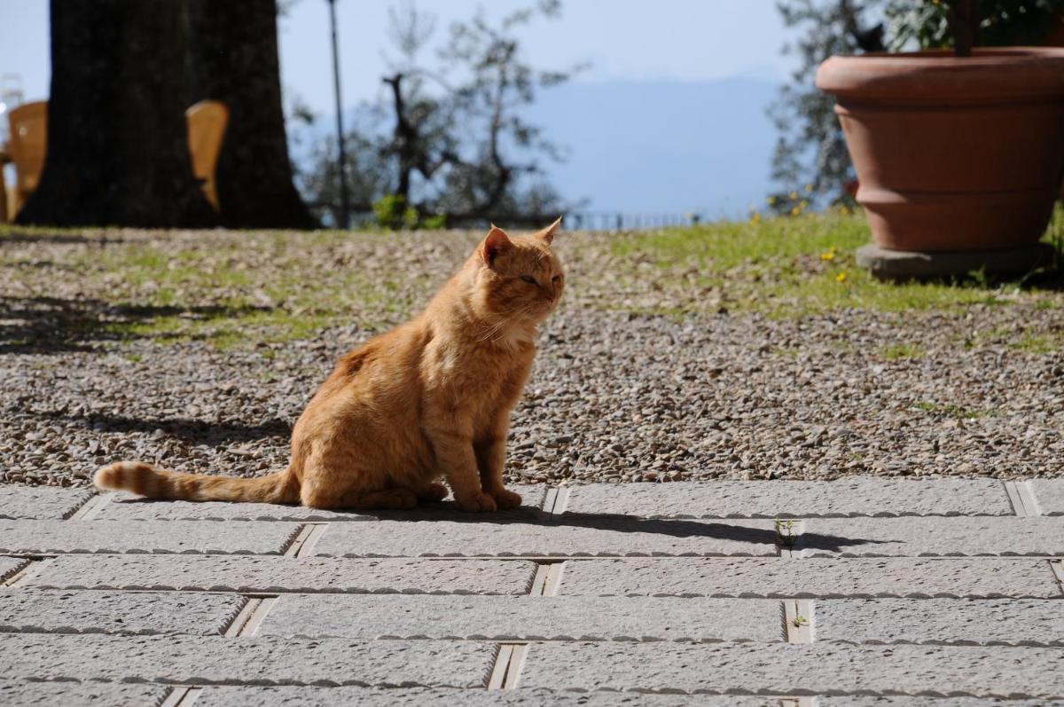 Agriturismo La Gioconda
