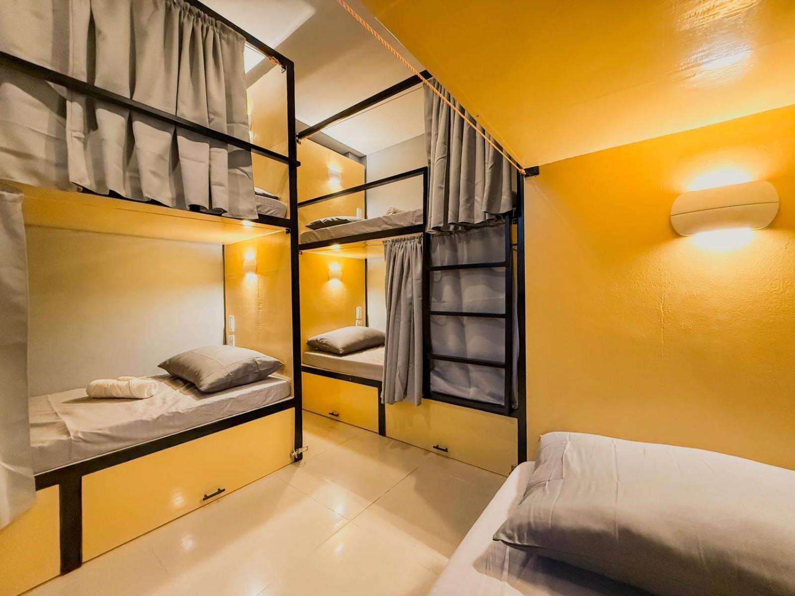 Goofy Ants Hostel